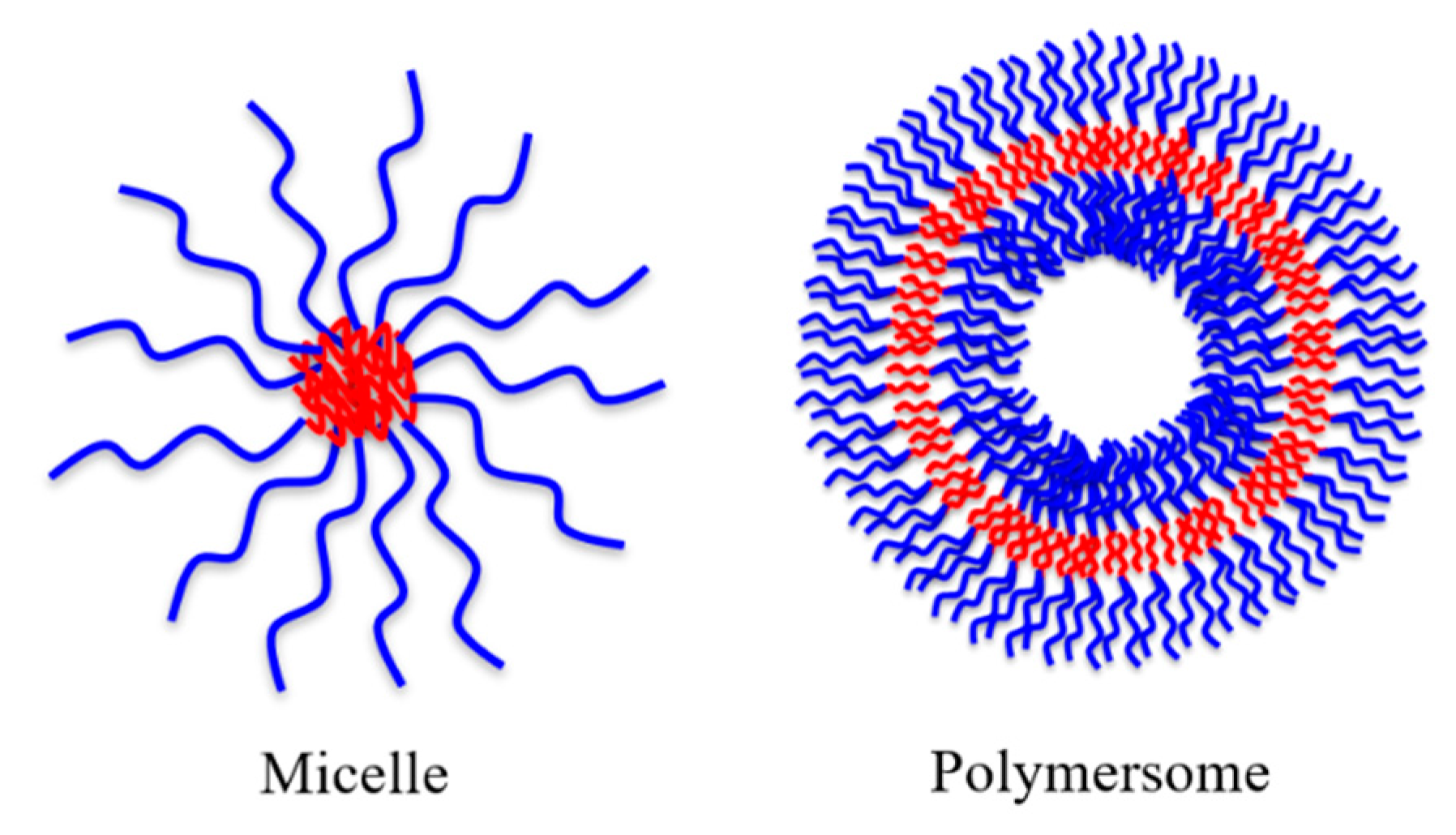 Pharmaceutics 12 00827 g004 Pharmaceutics 12 00827 g004