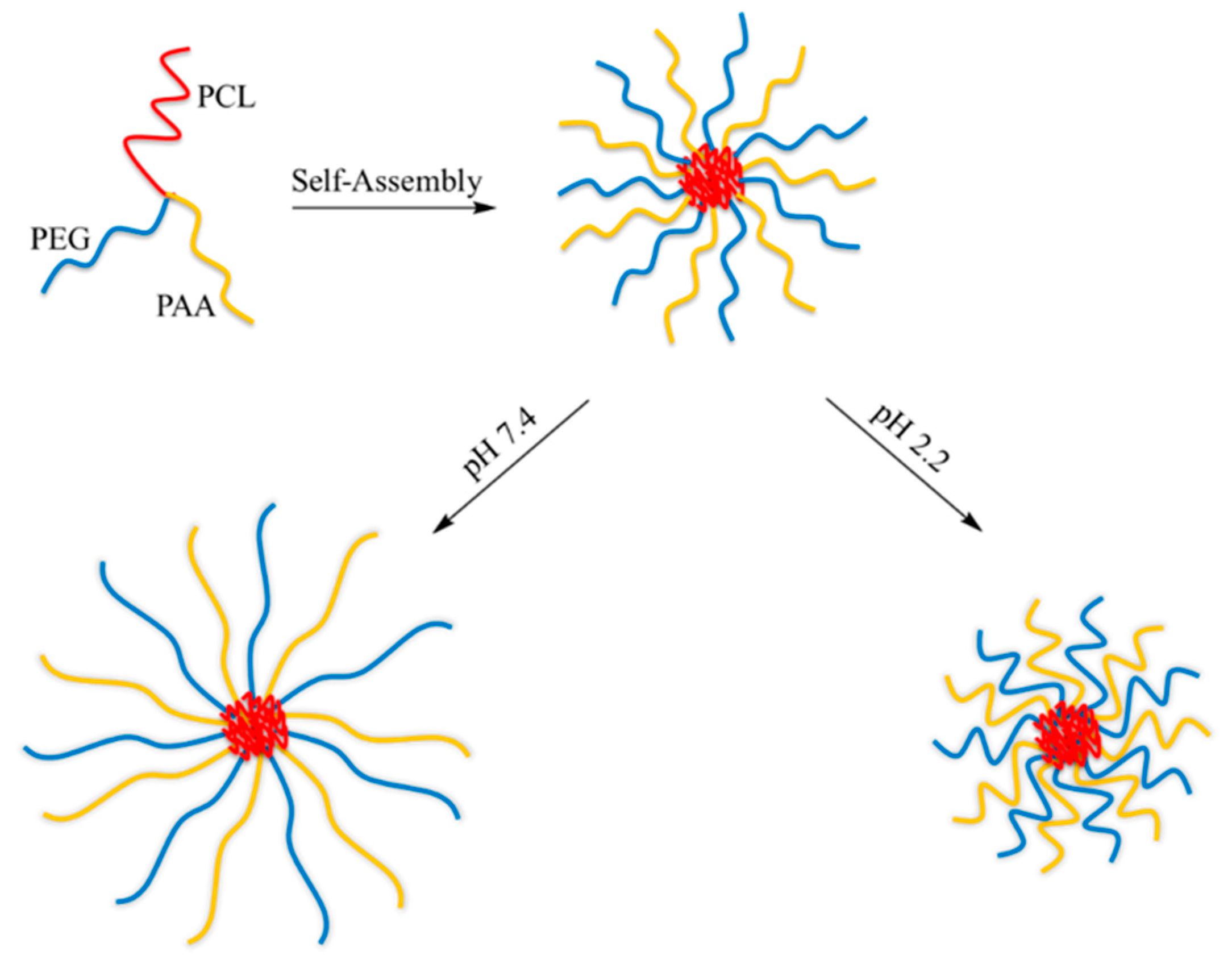 Pharmaceutics 12 00827 g007 Pharmaceutics 12 00827 g007