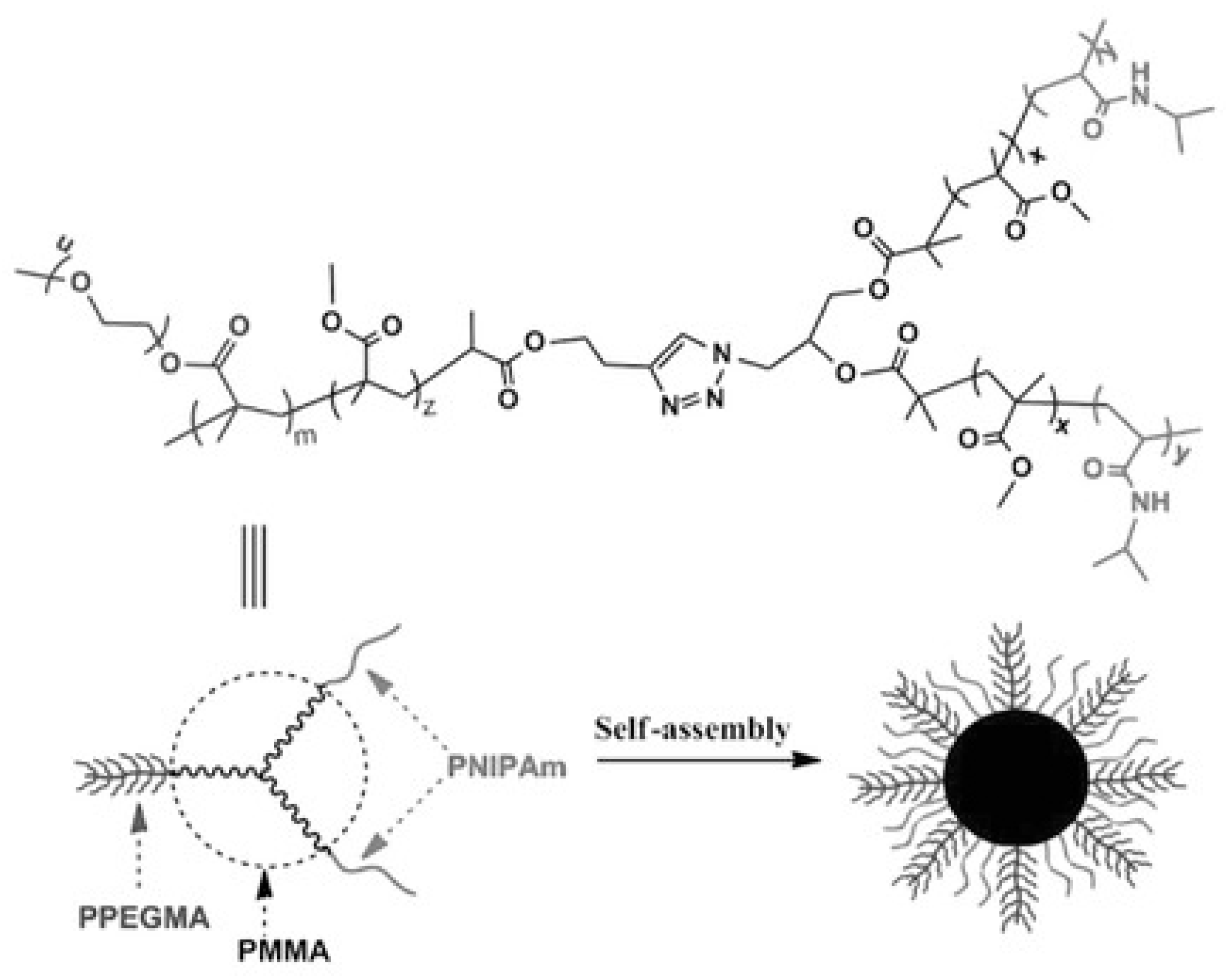Pharmaceutics 12 00827 g009 Pharmaceutics 12 00827 g009