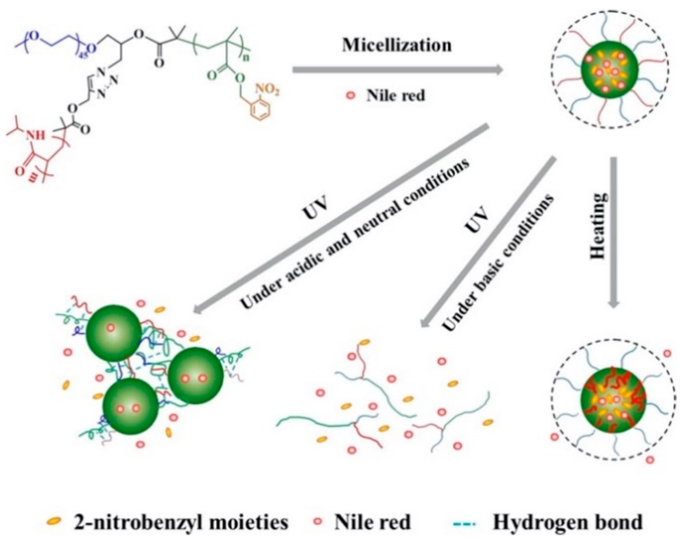 Pharmaceutics 12 00827 g011 Pharmaceutics 12 00827 g011
