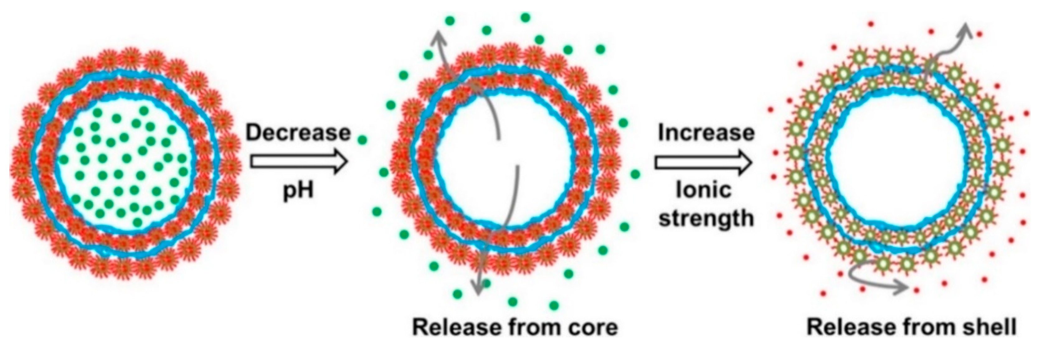 Pharmaceutics 12 00827 g013 Pharmaceutics 12 00827 g013