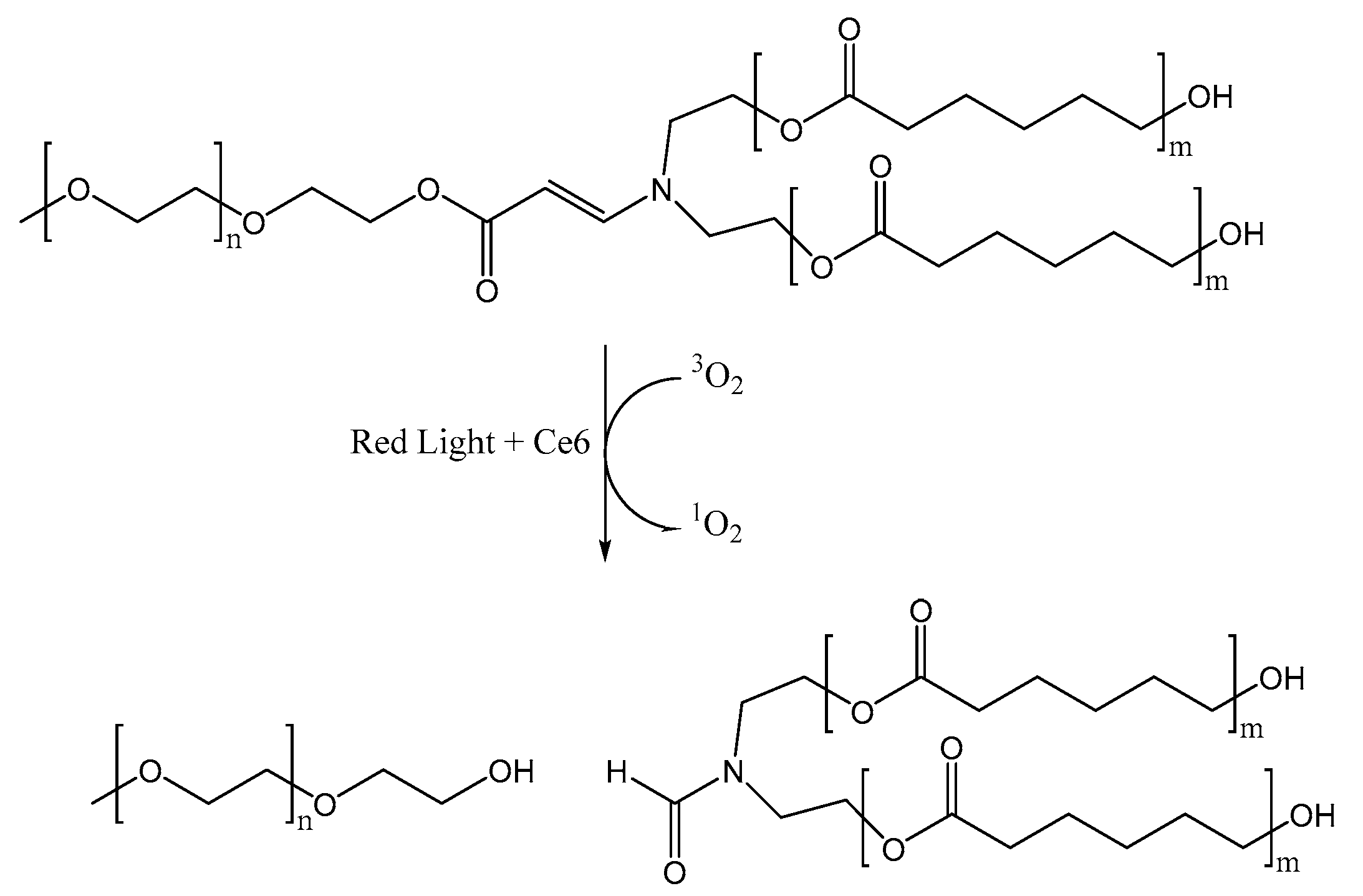 Pharmaceutics 12 00827 sch006 Pharmaceutics 12 00827 sch006