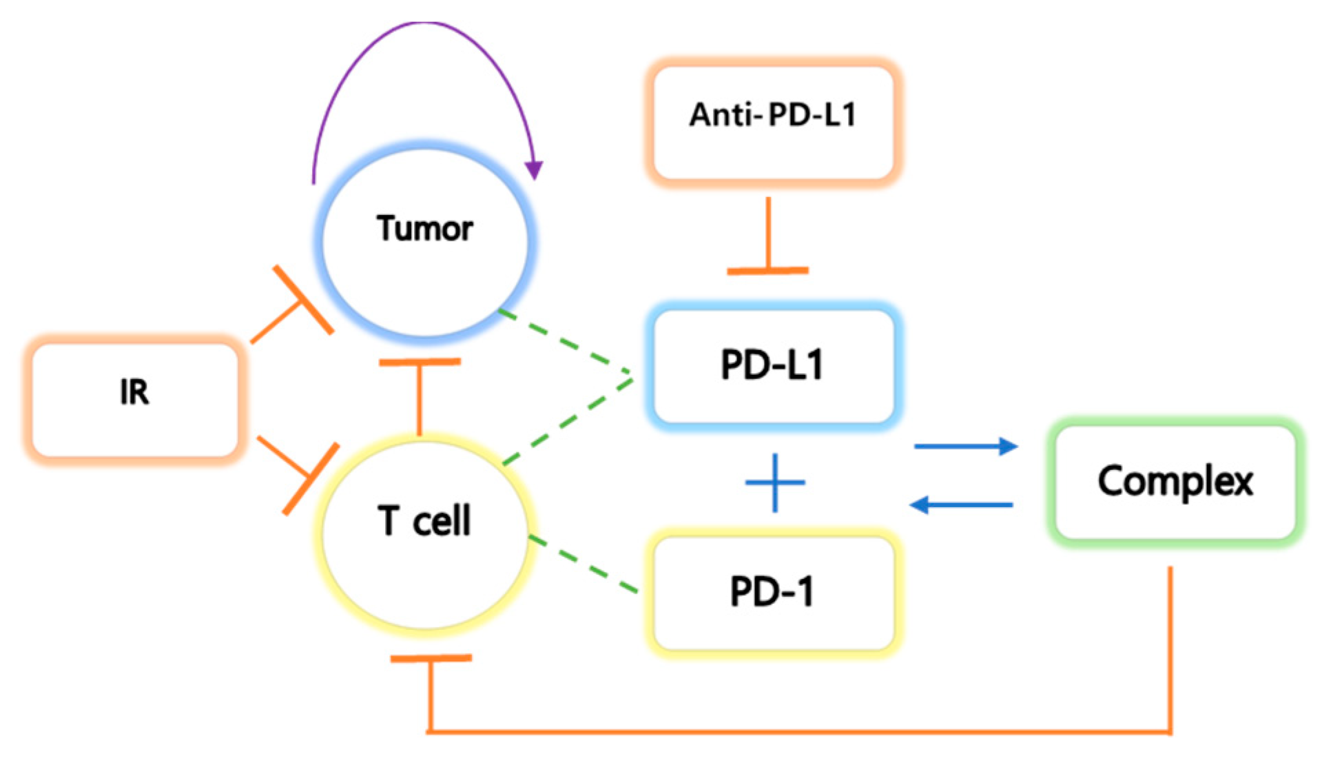 Pharmaceutics 12 00830 g001