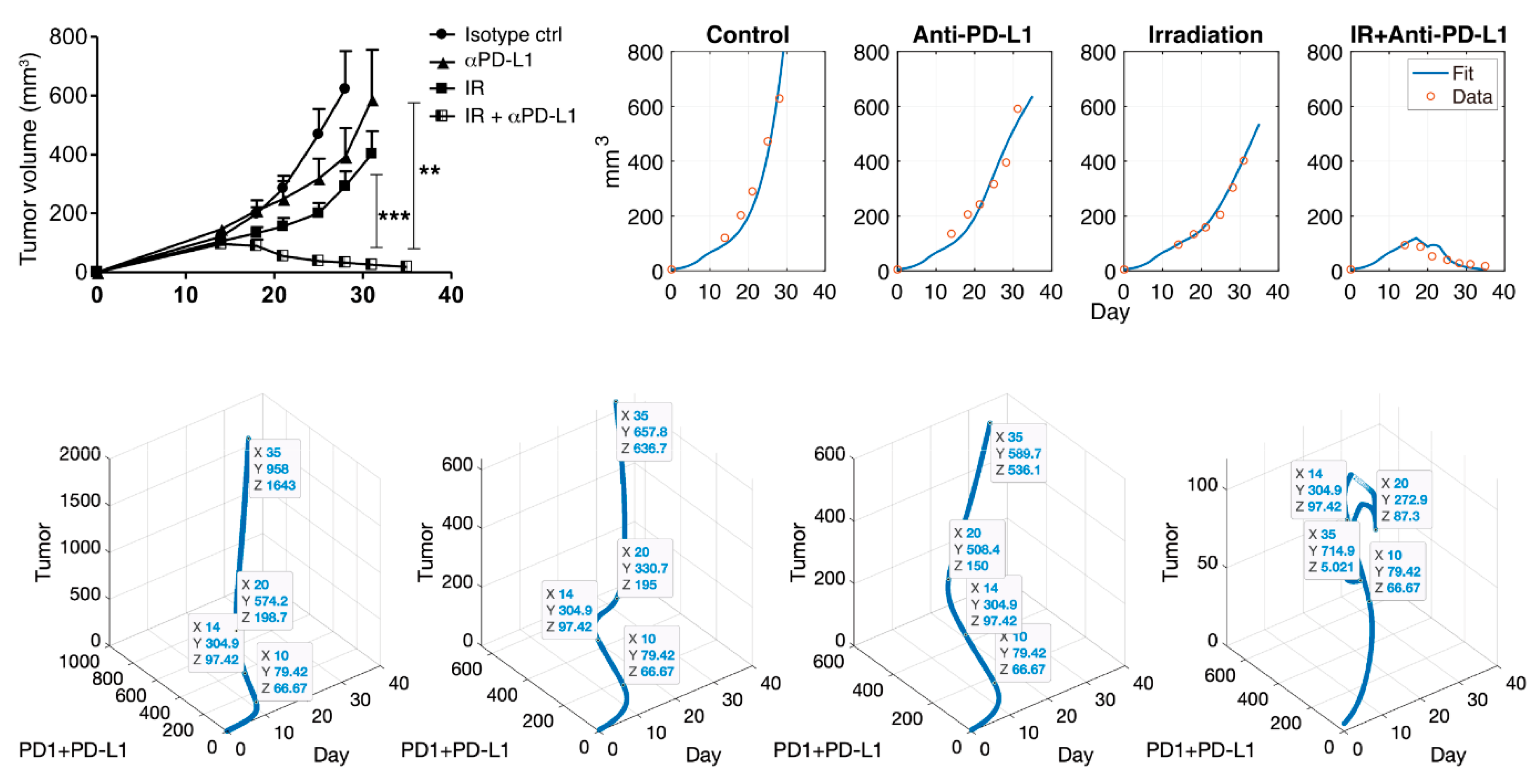 Pharmaceutics 12 00830 g002