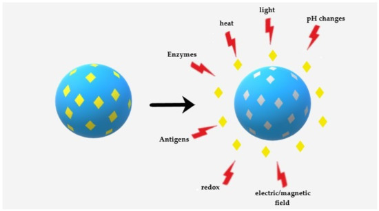 Pharmaceutics 12 00831 g001 550