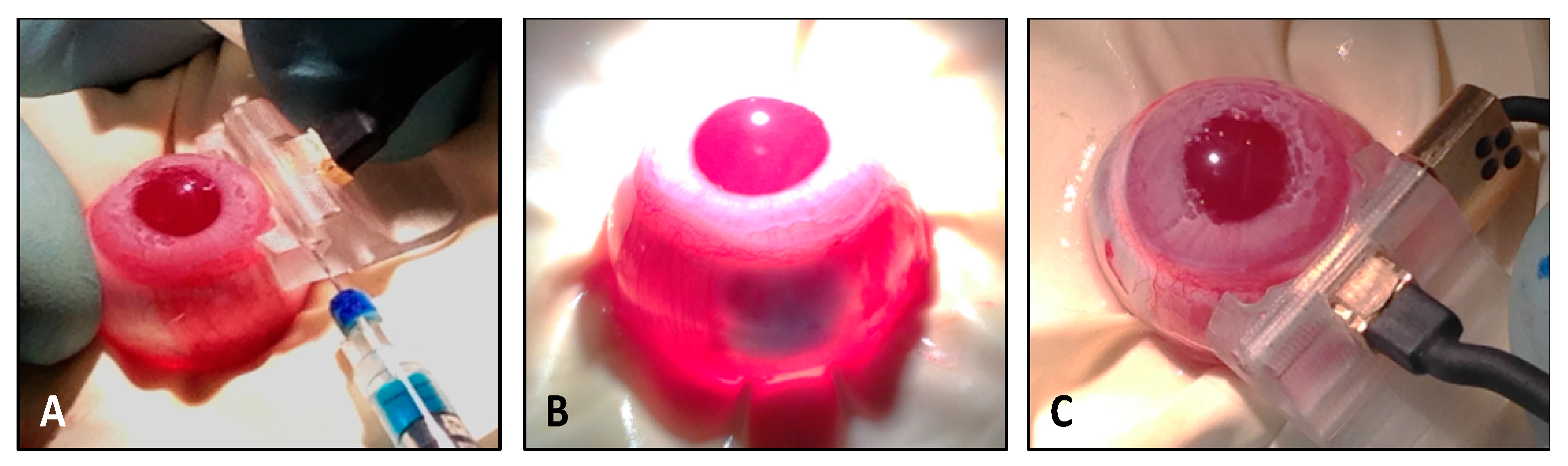 Pharmaceutics 12 00836 g001 Pharmaceutics 12 00836 g001