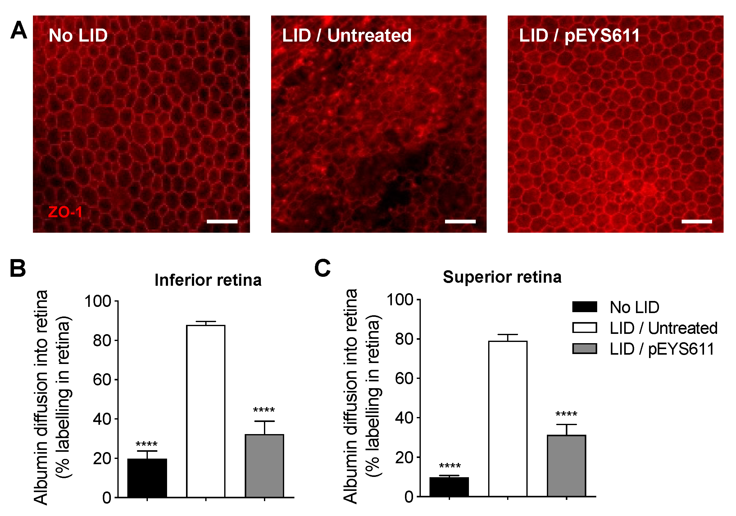 Pharmaceutics 12 00836 g006 Pharmaceutics 12 00836 g006