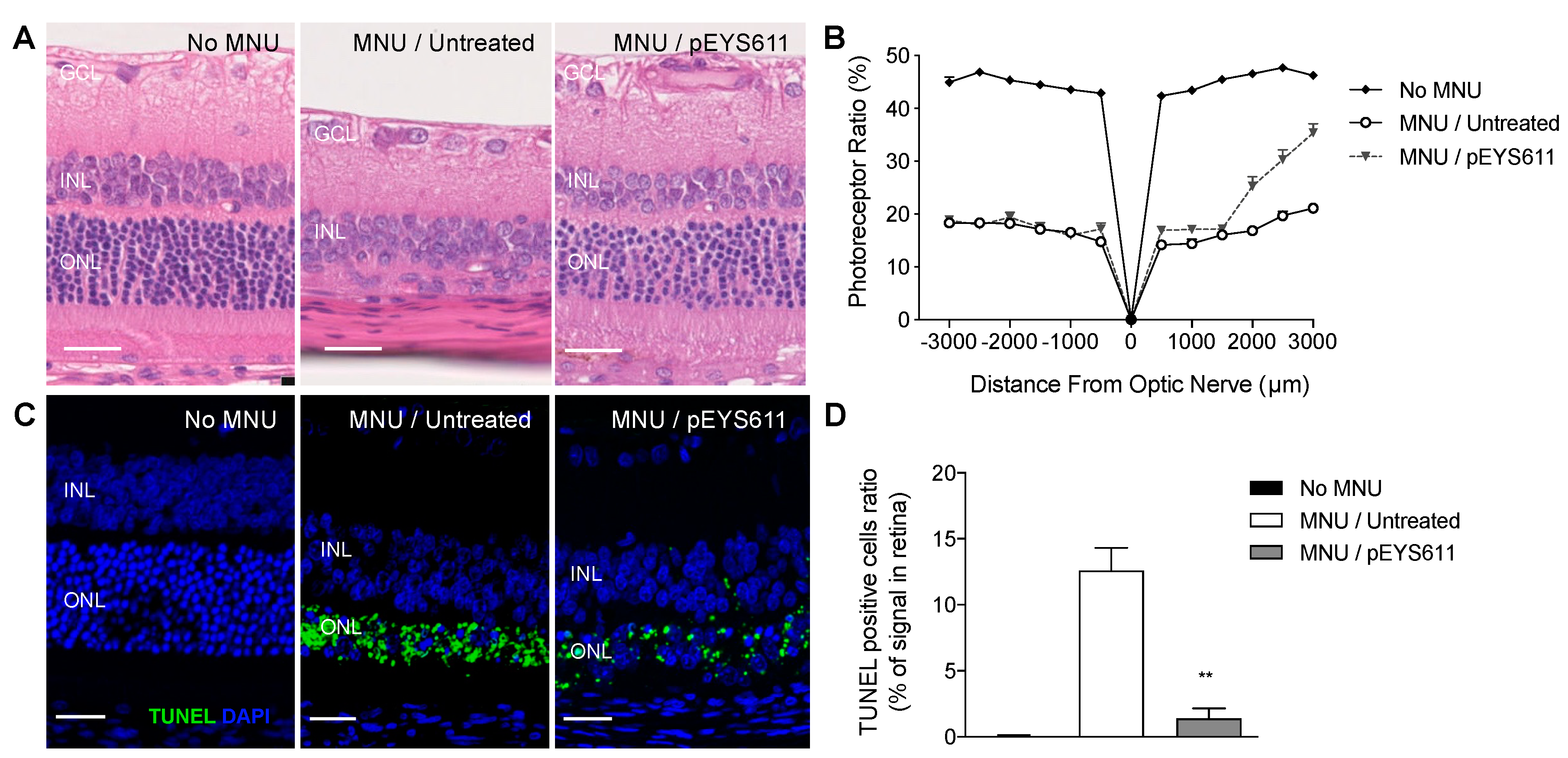 Pharmaceutics 12 00836 g008 Pharmaceutics 12 00836 g008
