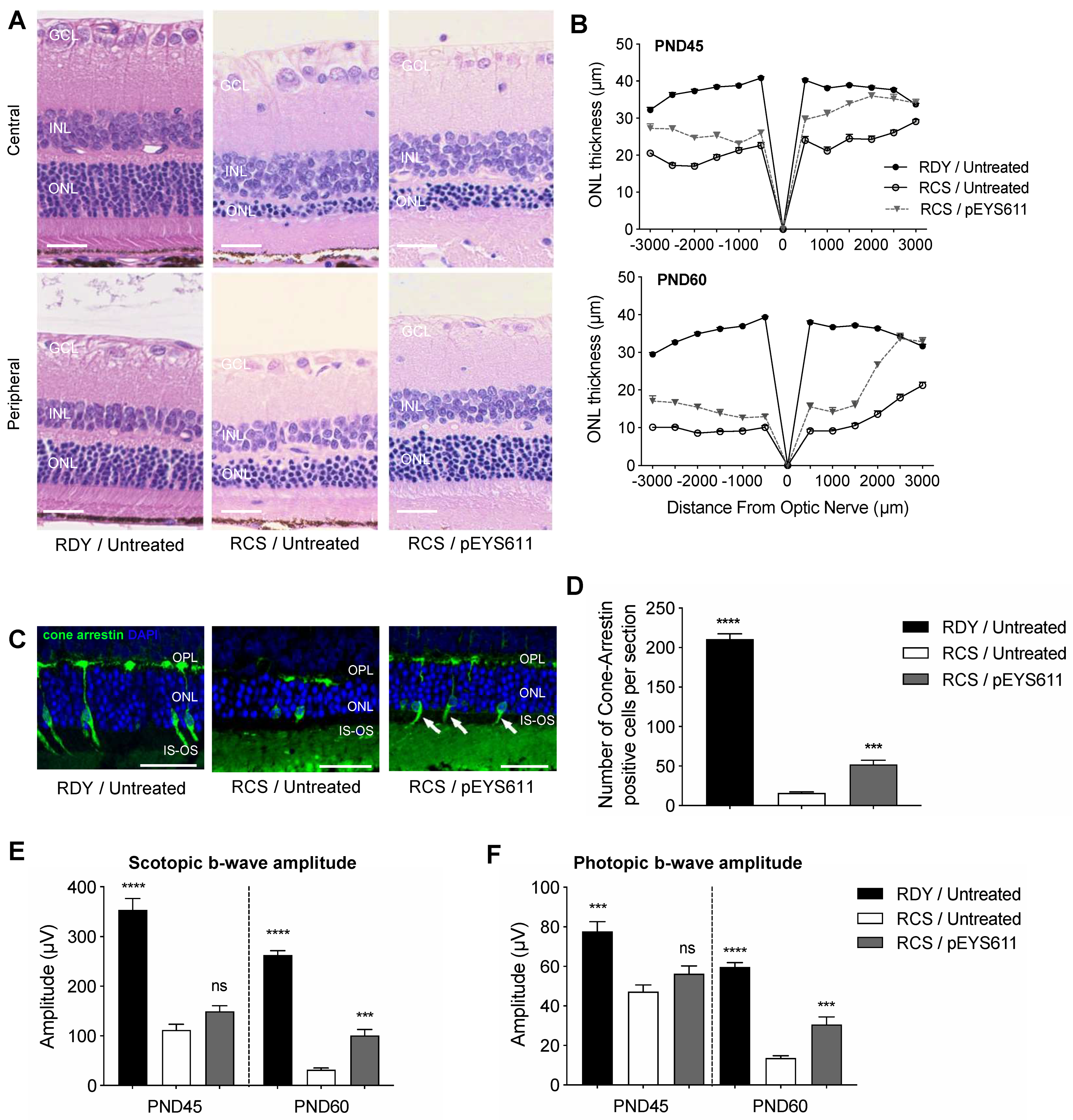 Pharmaceutics 12 00836 g009 Pharmaceutics 12 00836 g009