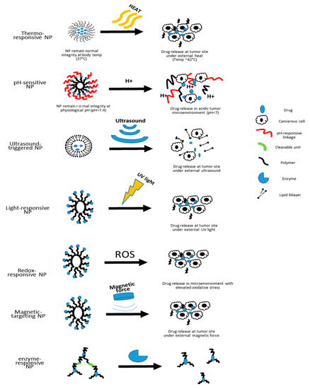 Pharmaceutics 12 00837 g002 550