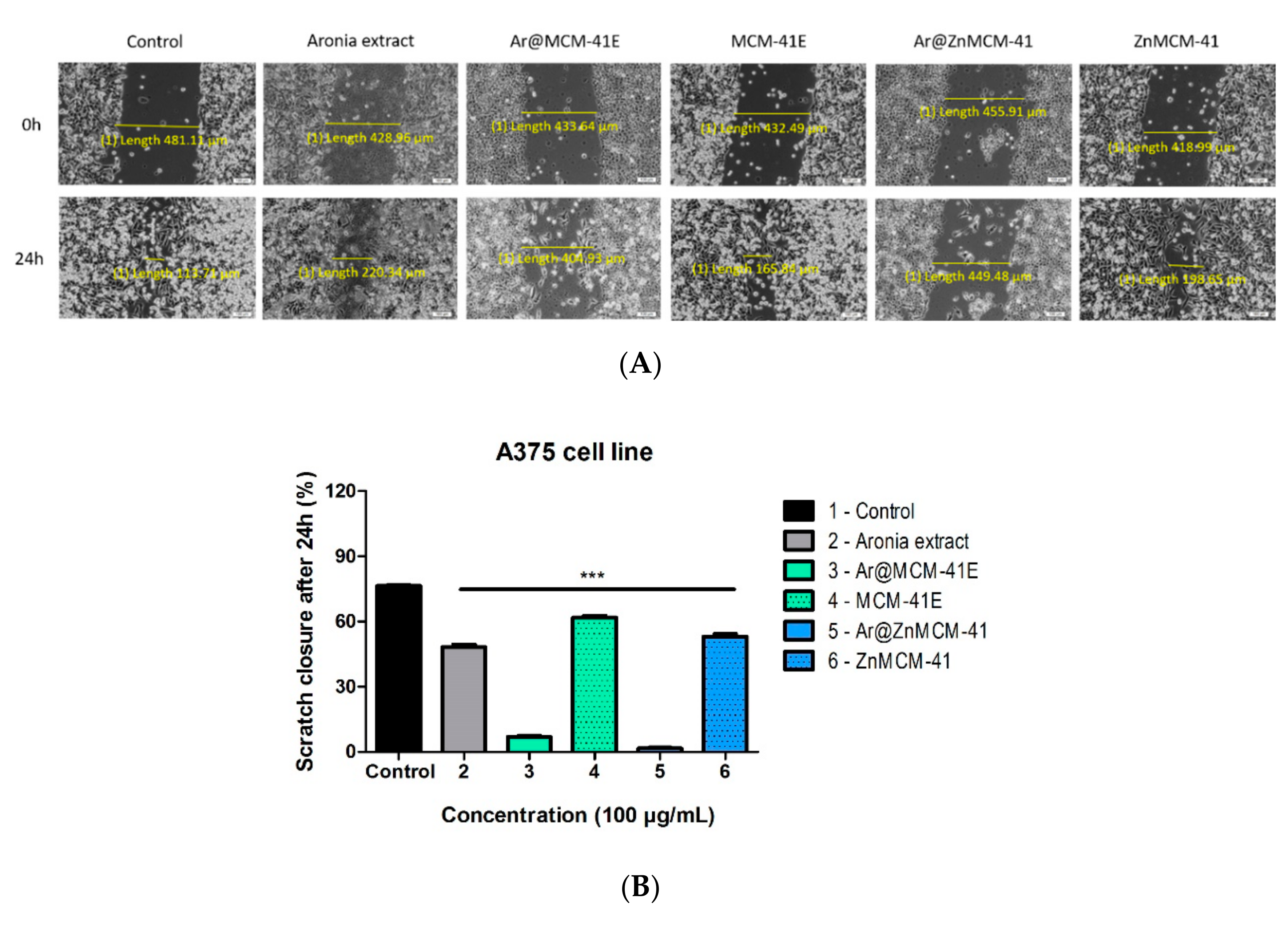 Pharmaceutics 12 00838 g008