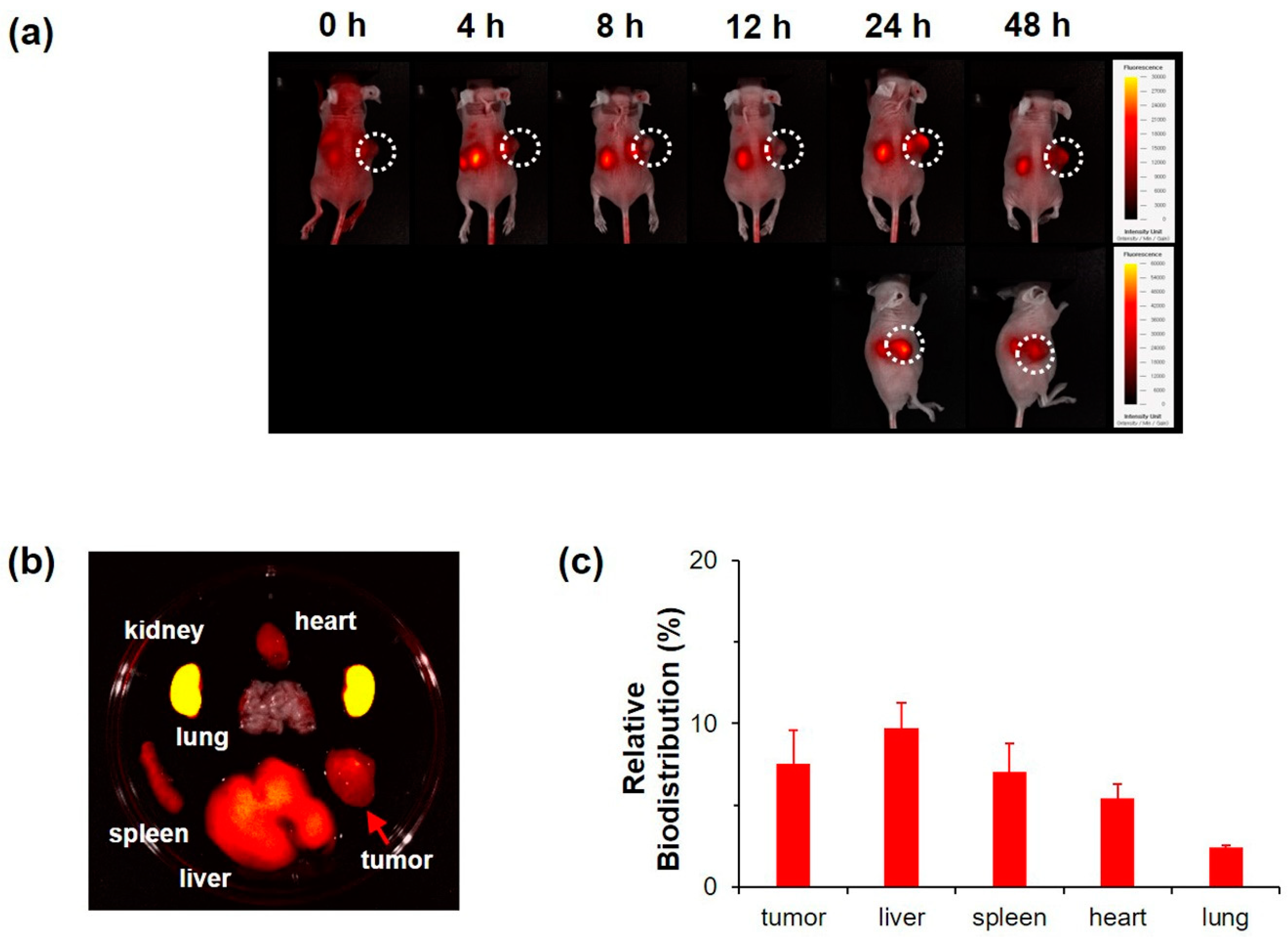 Pharmaceutics 12 00839 g004 Pharmaceutics 12 00839 g004