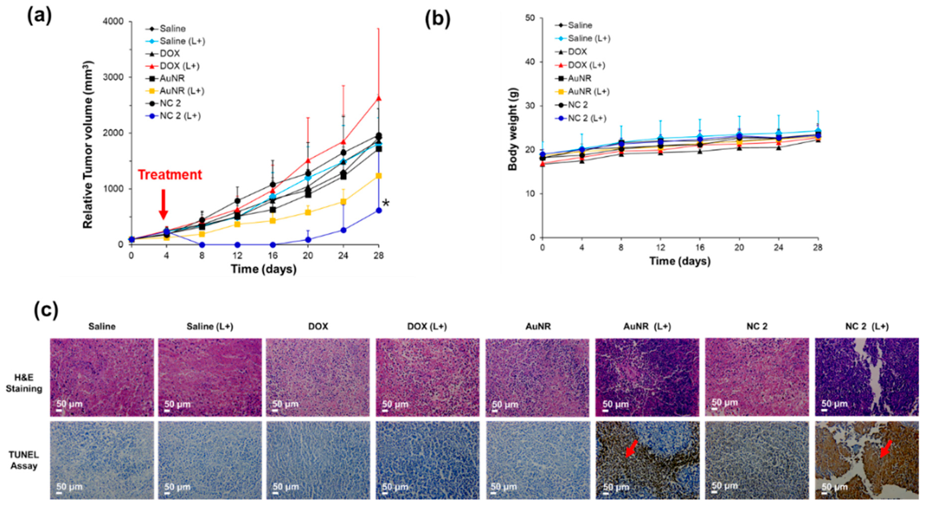 Pharmaceutics 12 00839 g005 Pharmaceutics 12 00839 g005