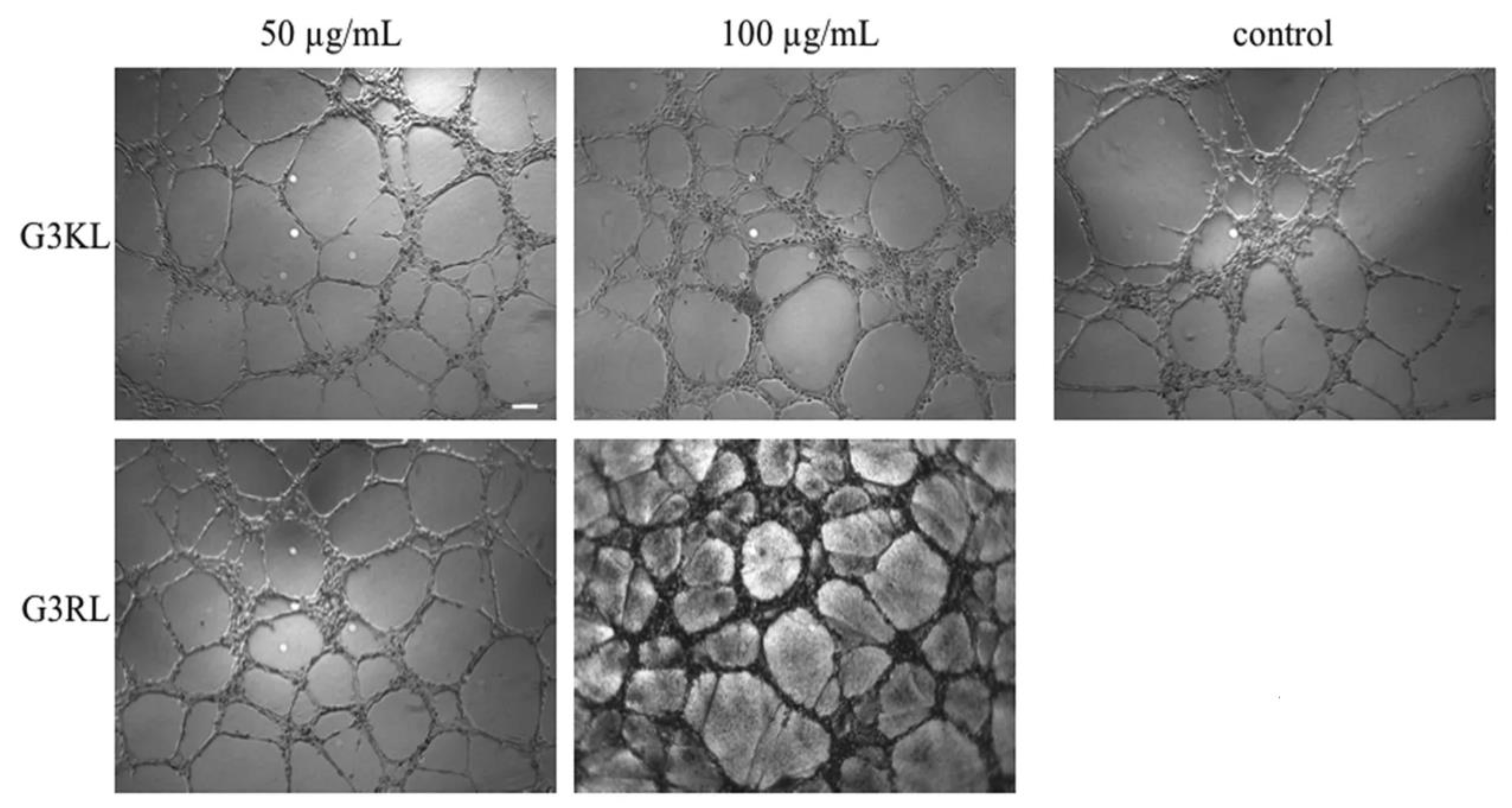 https://www.mdpi.com/pharmaceutics/pharmaceutics-12-00840/article_deploy/html/images/pharmaceutics-12-00840-g004.png