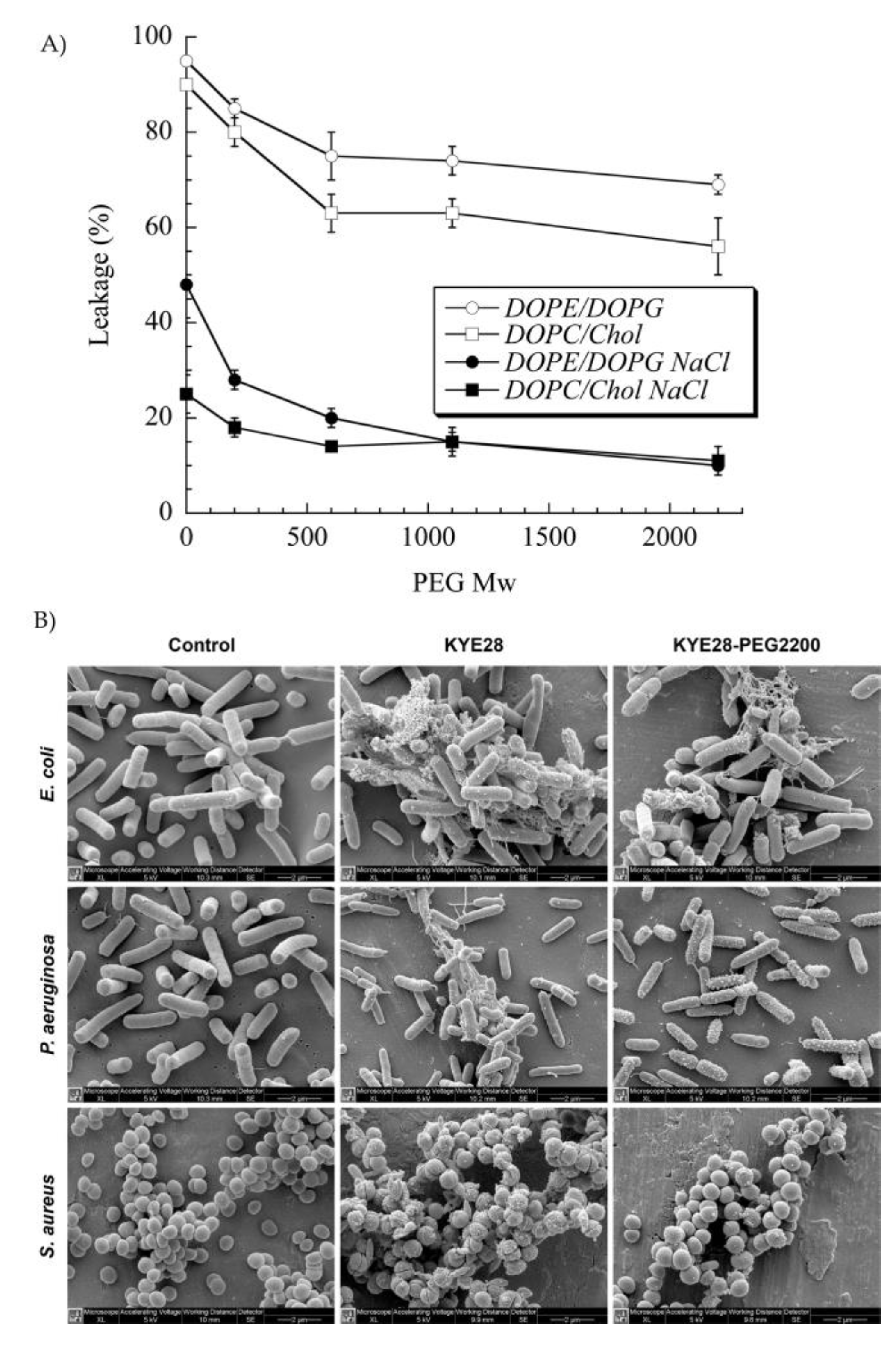 https://www.mdpi.com/pharmaceutics/pharmaceutics-12-00840/article_deploy/html/images/pharmaceutics-12-00840-g005.png