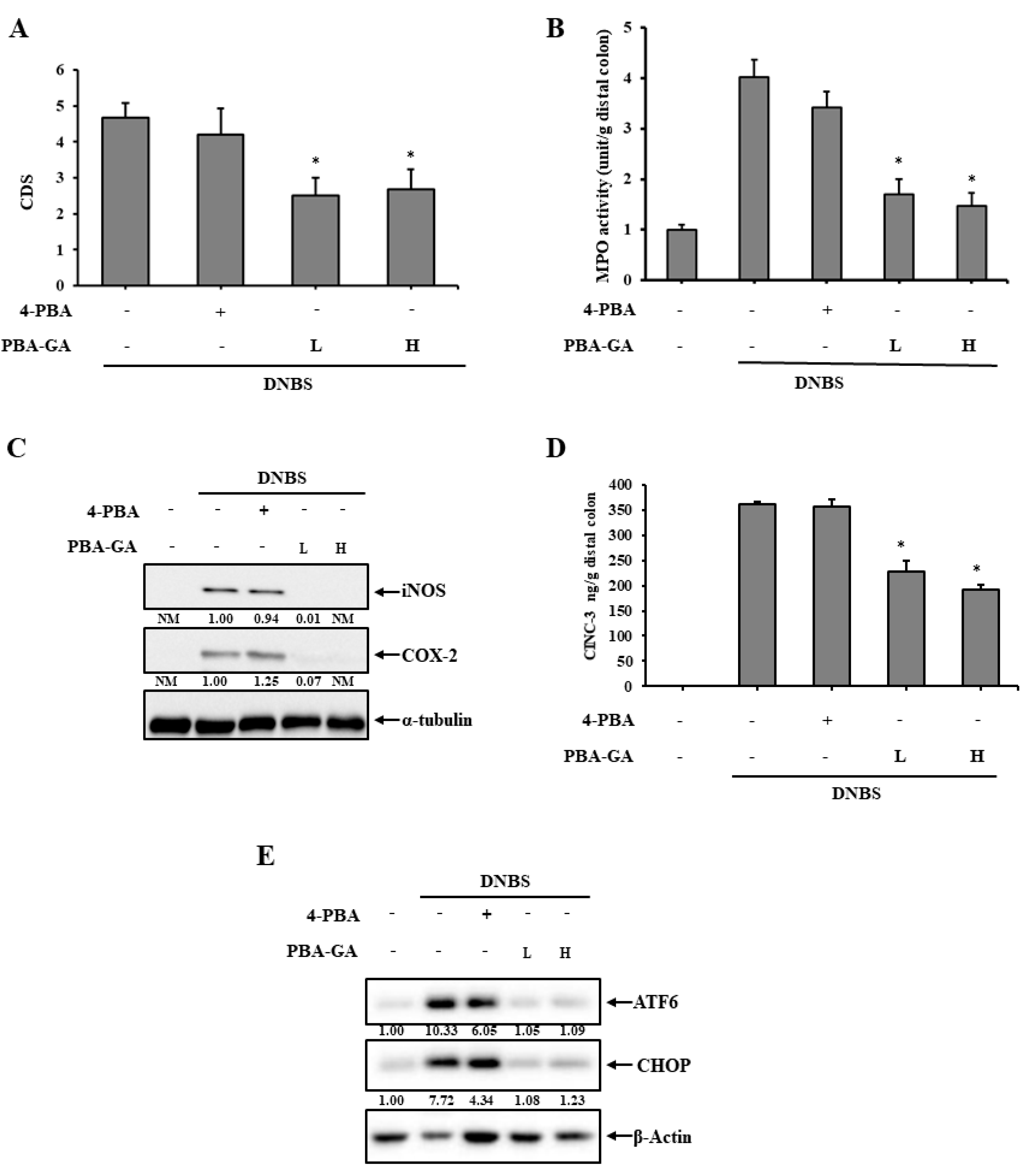 Pharmaceutics 12 00843 g003 Pharmaceutics 12 00843 g003