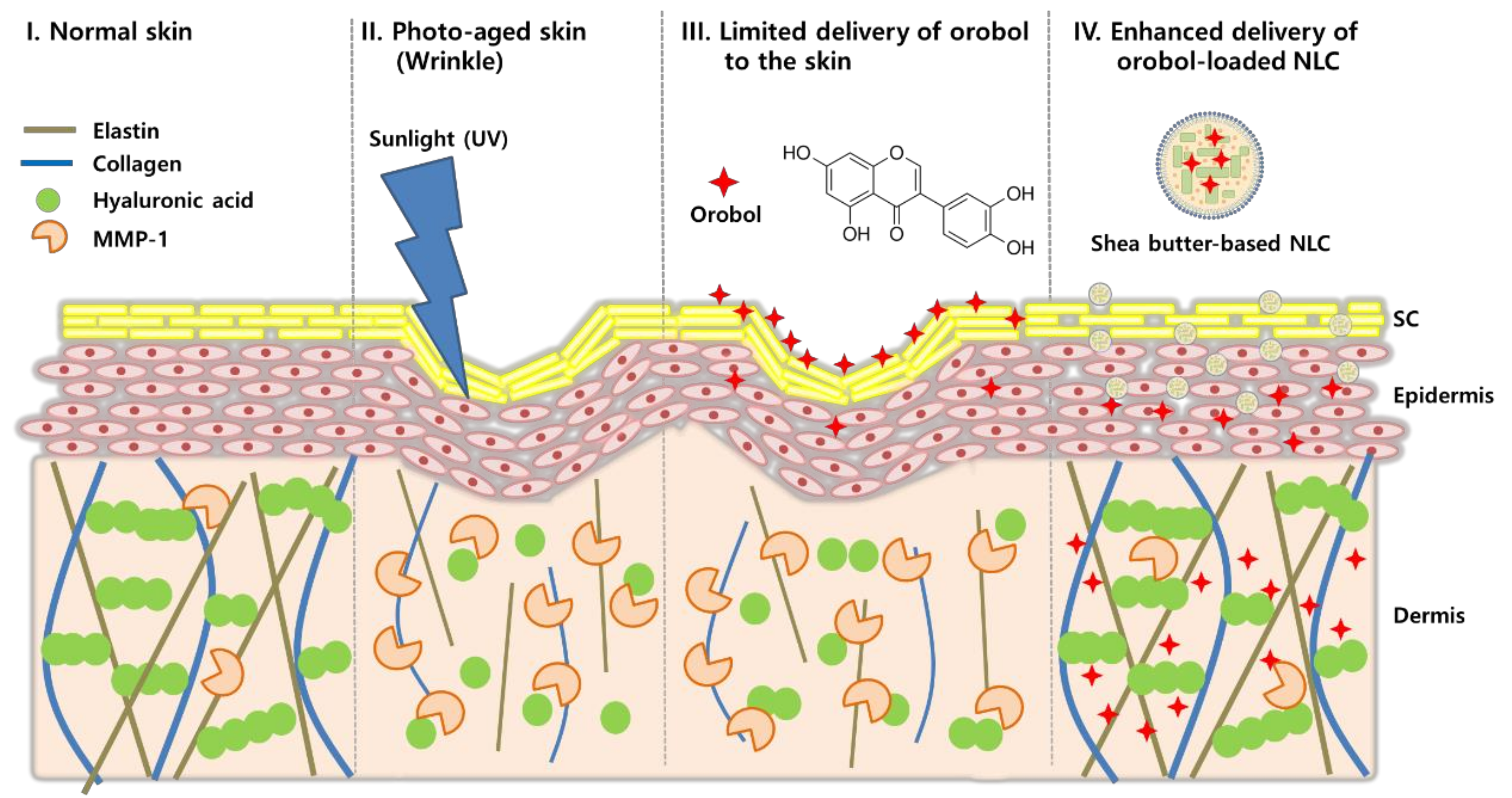 Pharmaceutics 12 00845 g001 Pharmaceutics 12 00845 g001