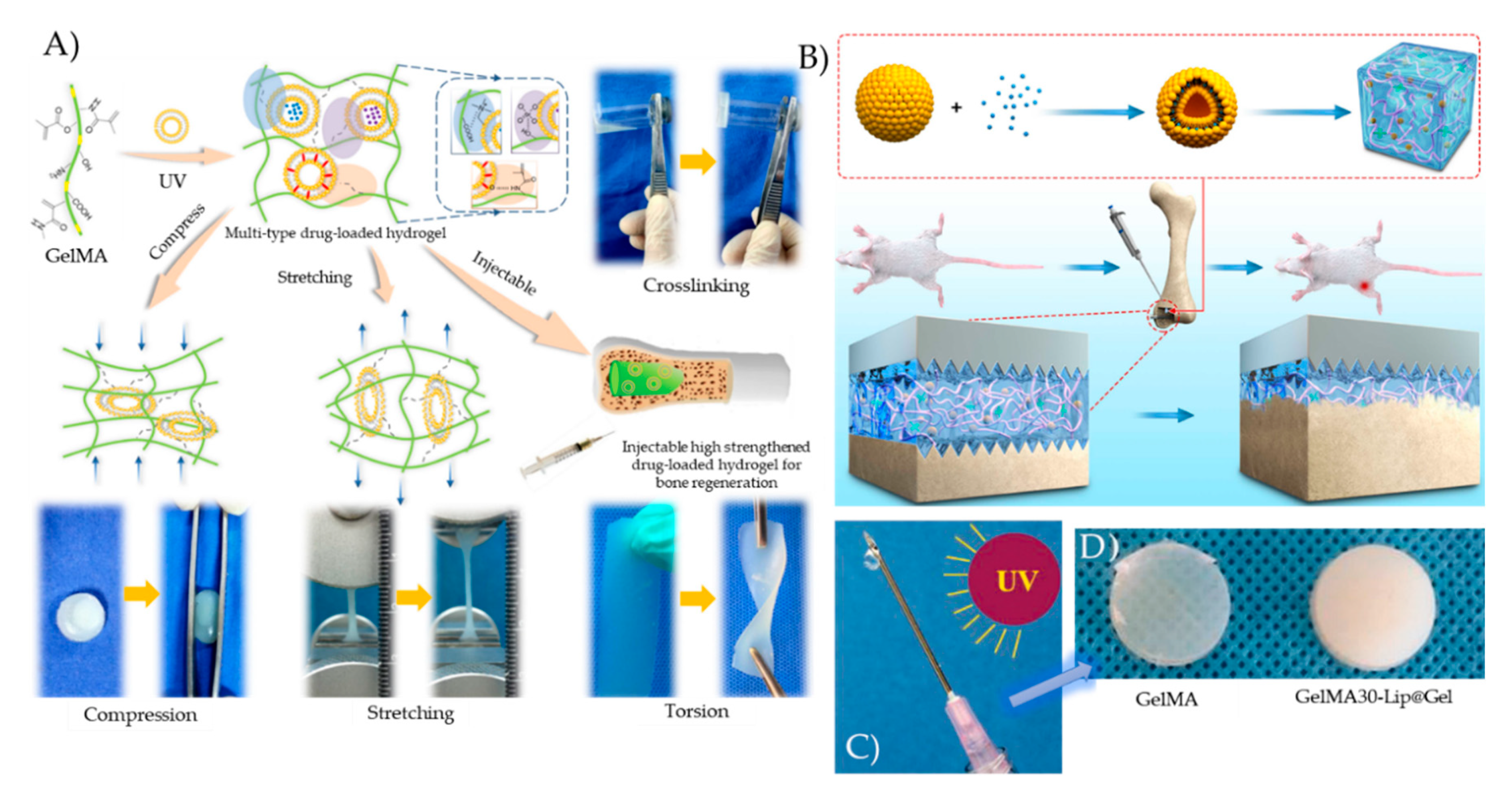 Pharmaceutics 12 00849 g003 Pharmaceutics 12 00849 g003