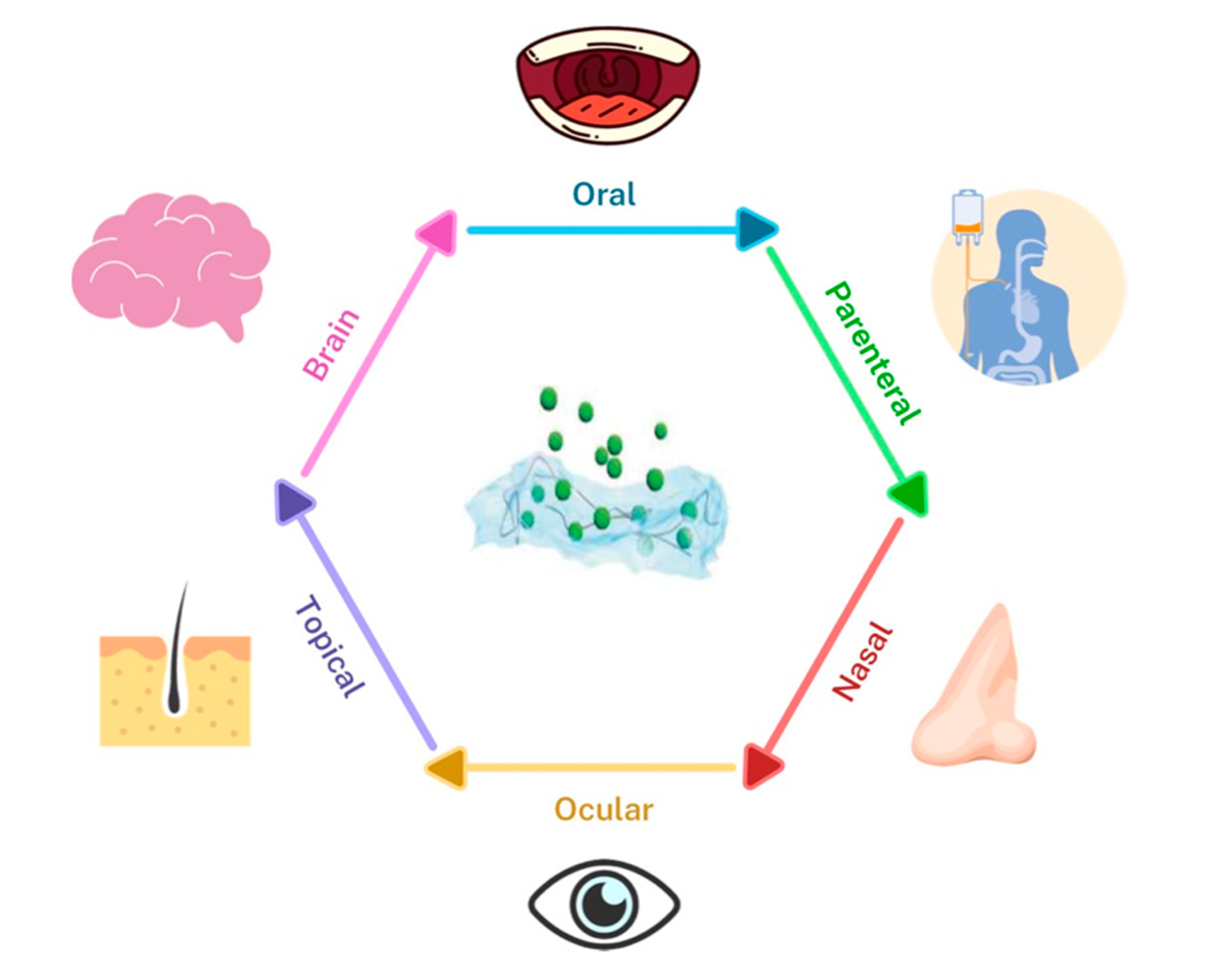 Pharmaceutics 12 00849 g005 Pharmaceutics 12 00849 g005