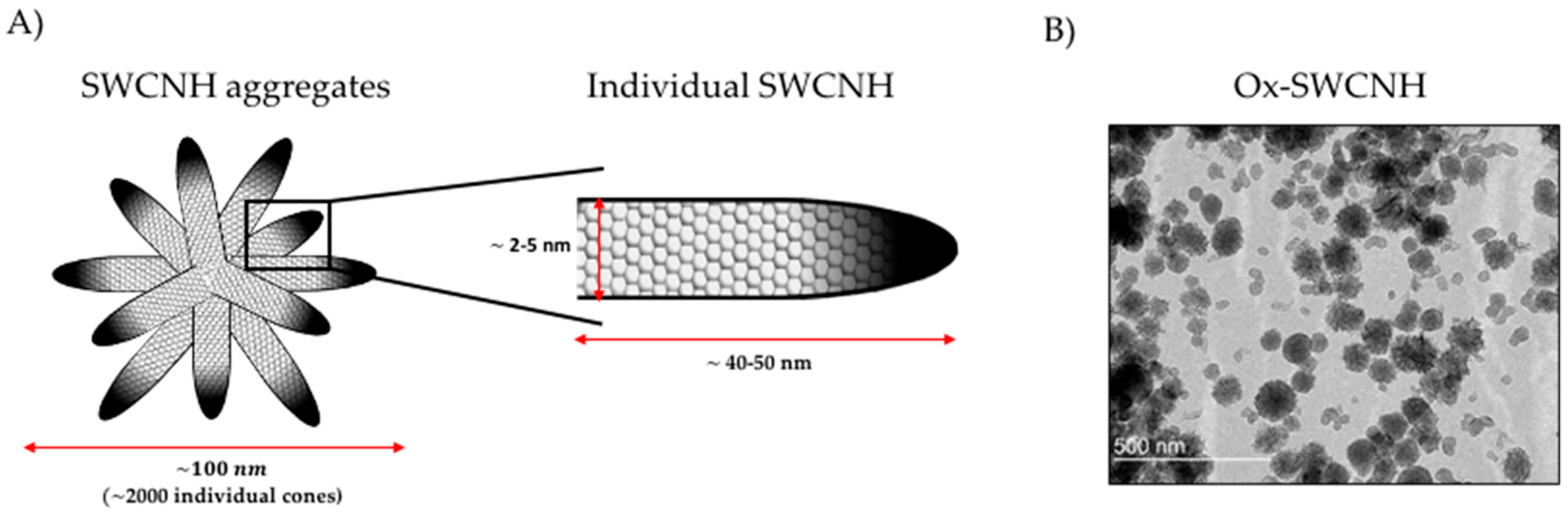 Pharmaceutics 12 00850 g001 Pharmaceutics 12 00850 g001