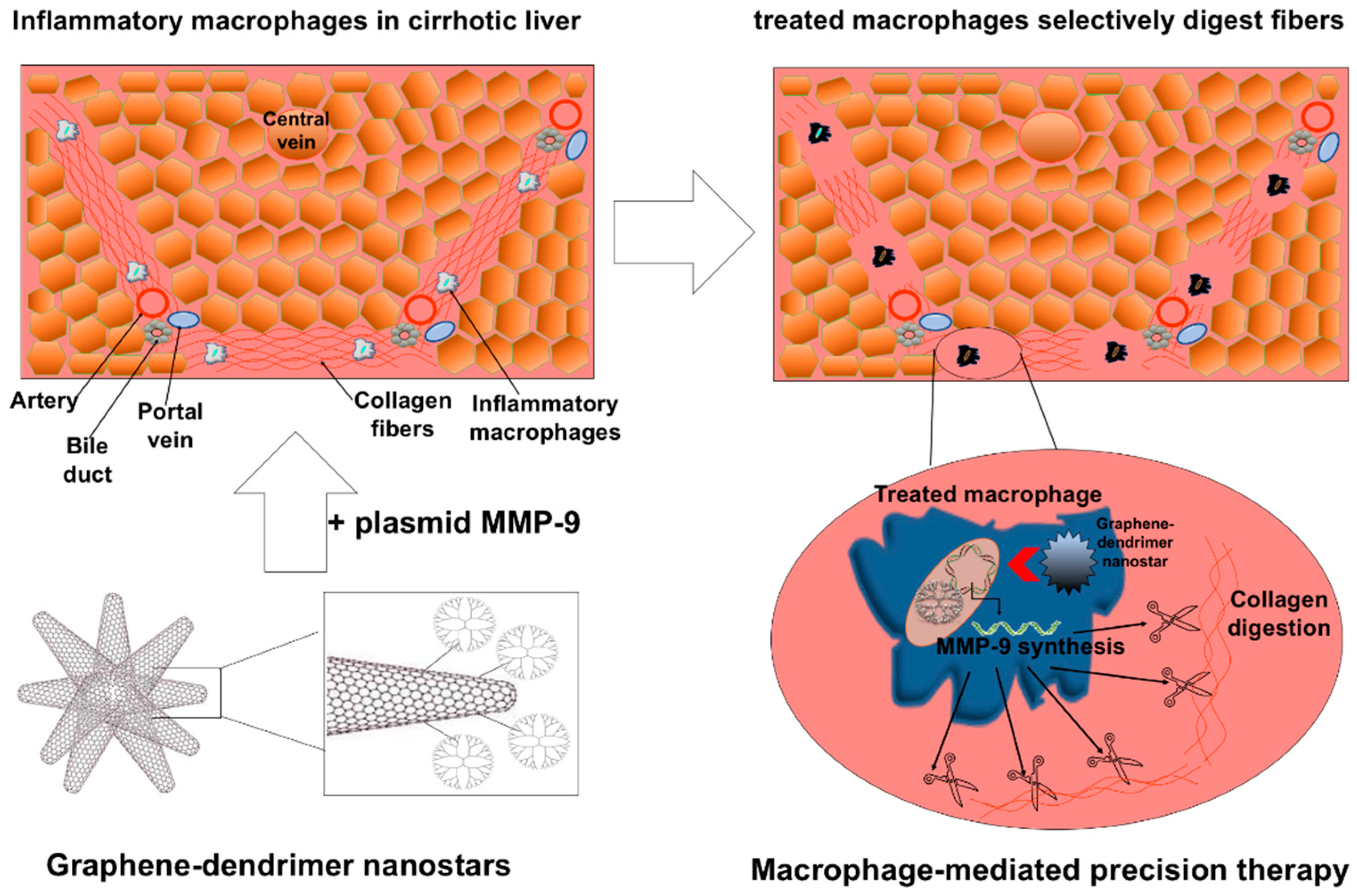Pharmaceutics 12 00850 g004 Pharmaceutics 12 00850 g004