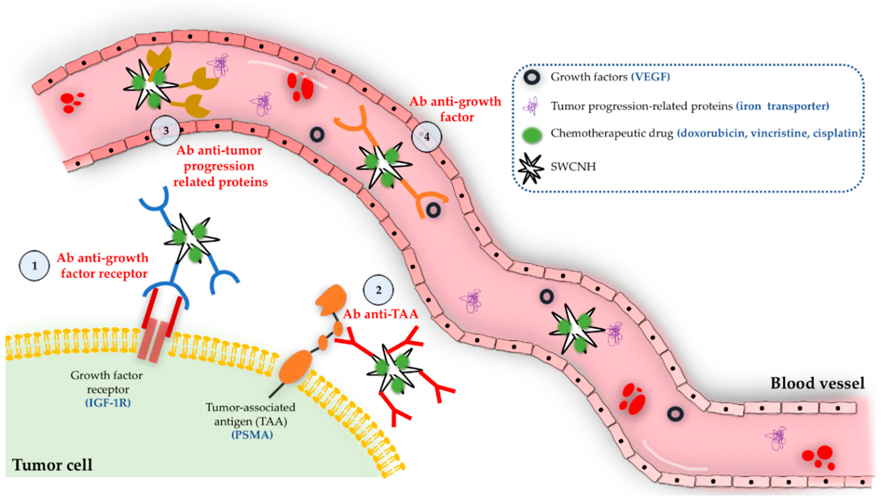 Pharmaceutics 12 00850 g005 Pharmaceutics 12 00850 g005