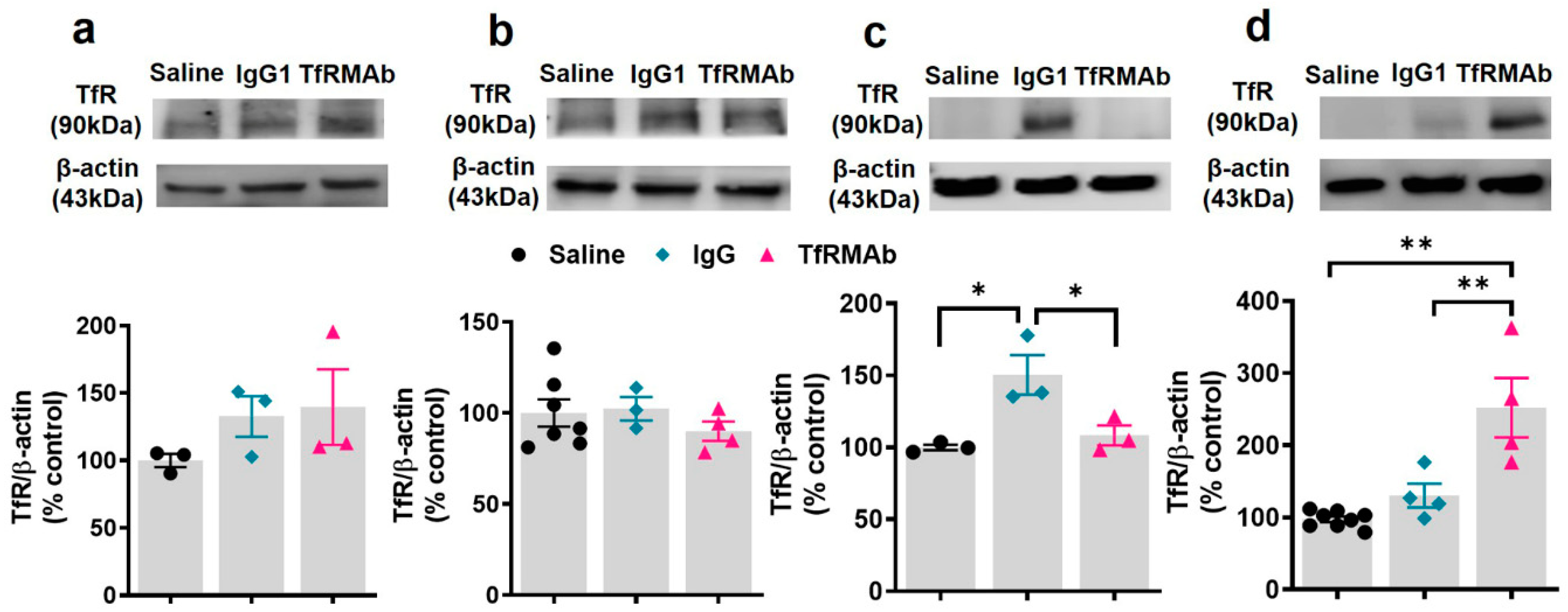Pharmaceutics 12 00852 g006