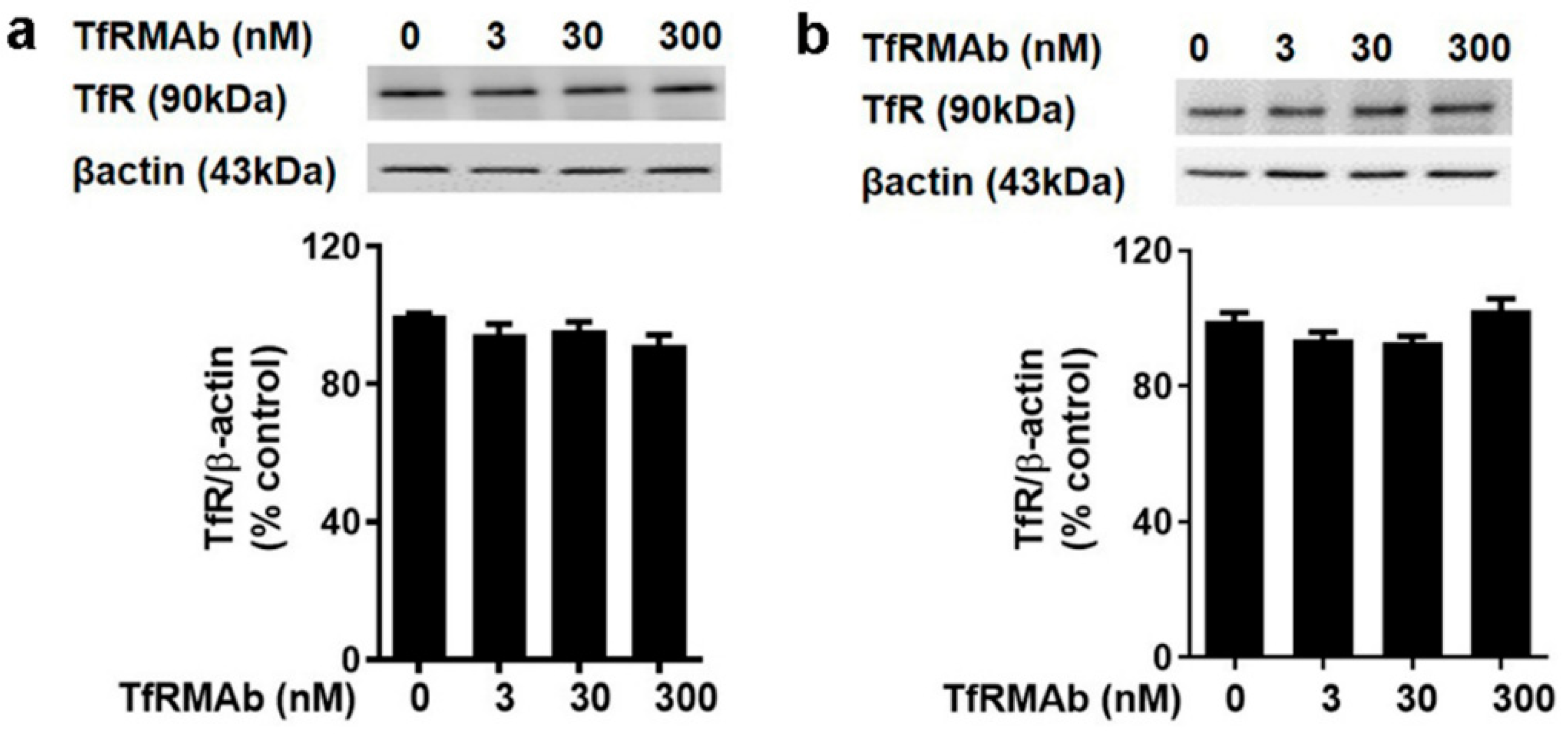 Pharmaceutics 12 00852 g007