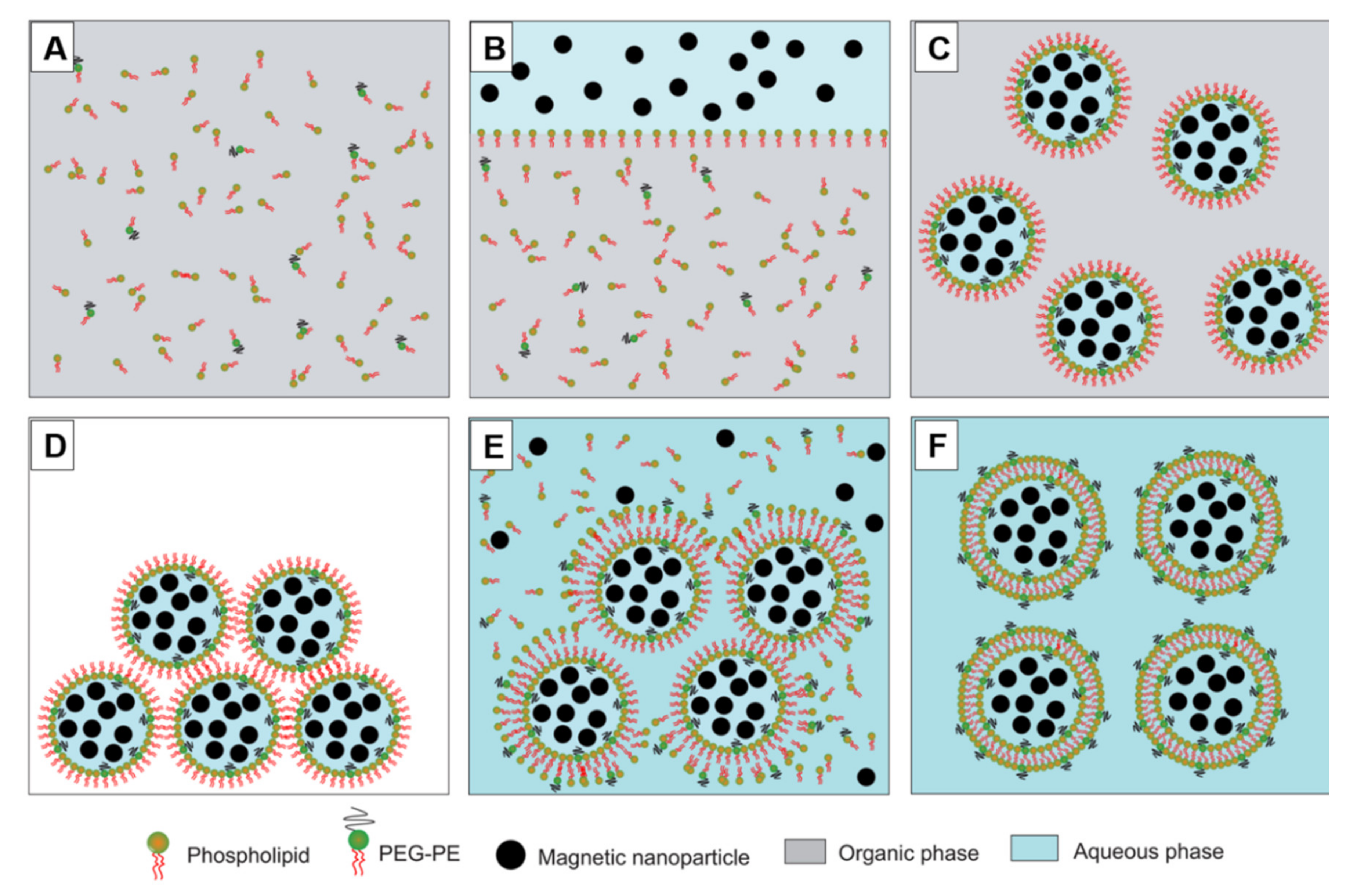 Pharmaceutics 12 00854 g003 Pharmaceutics 12 00854 g003