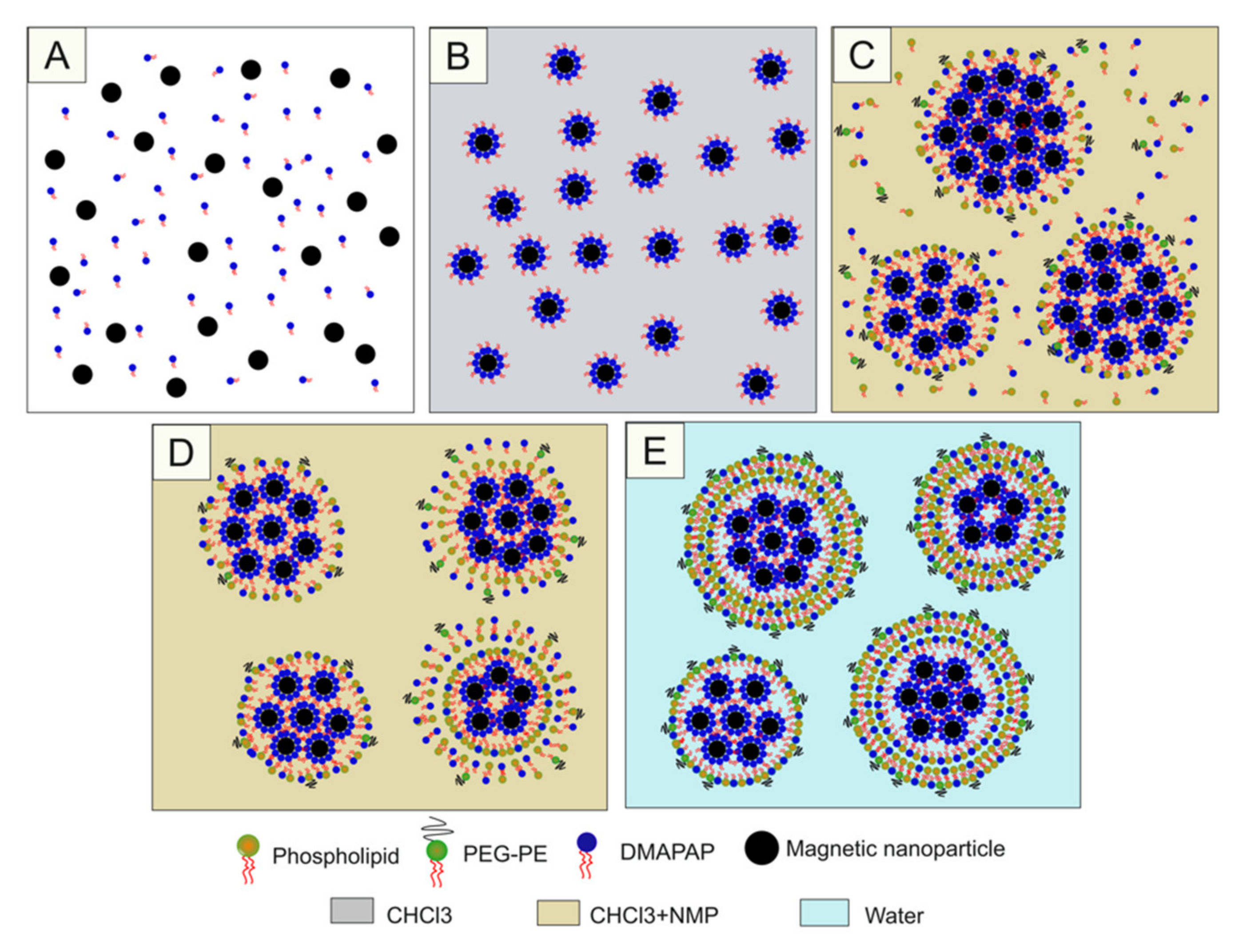 Pharmaceutics 12 00854 g005 Pharmaceutics 12 00854 g005