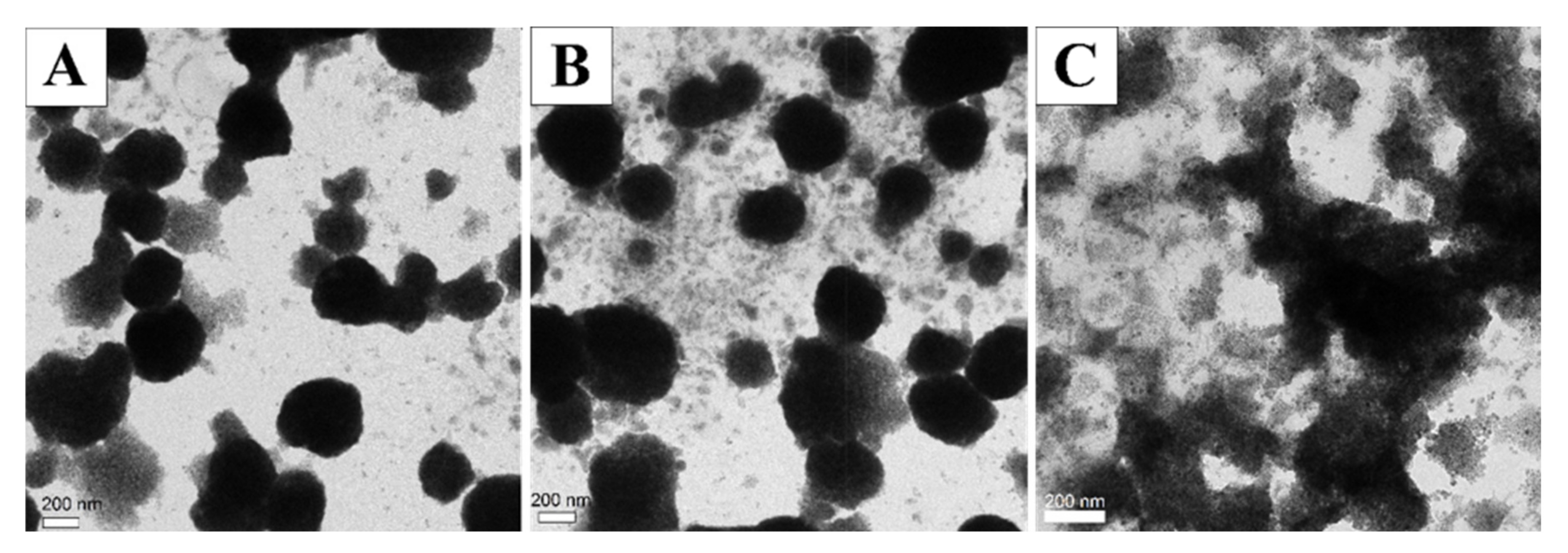 Pharmaceutics 12 00854 g006 Pharmaceutics 12 00854 g006