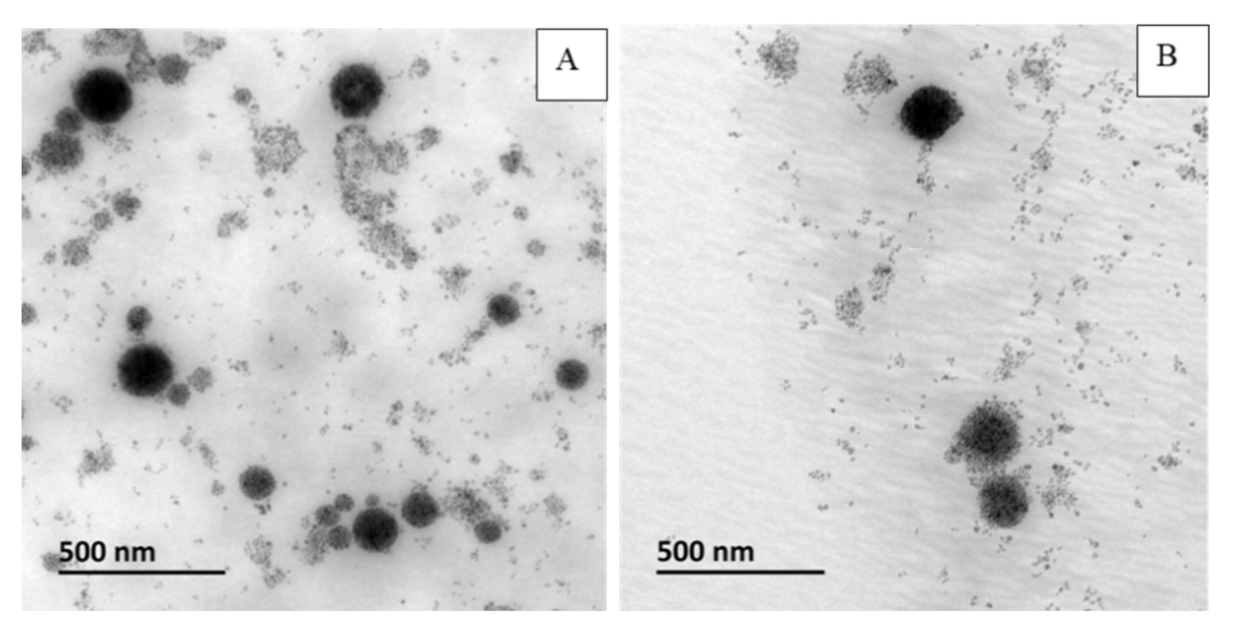Pharmaceutics 12 00854 g007 Pharmaceutics 12 00854 g007