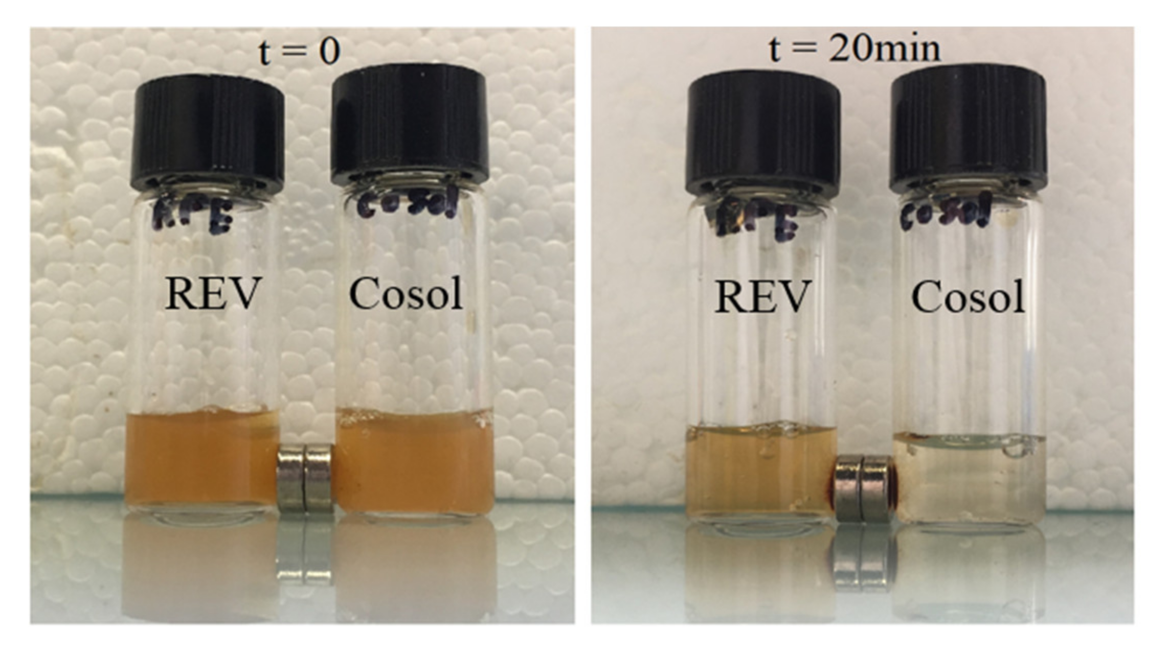 Pharmaceutics 12 00854 g013 Pharmaceutics 12 00854 g013