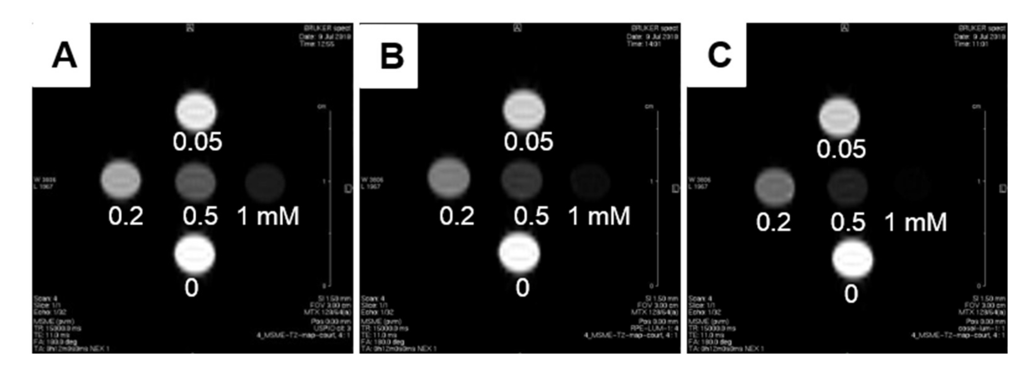 Pharmaceutics 12 00854 g014 Pharmaceutics 12 00854 g014