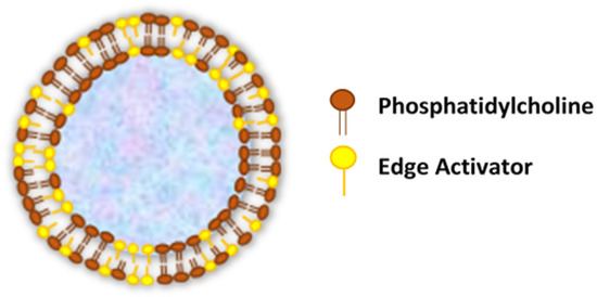 Pharmaceutics 12 00855 g001 550