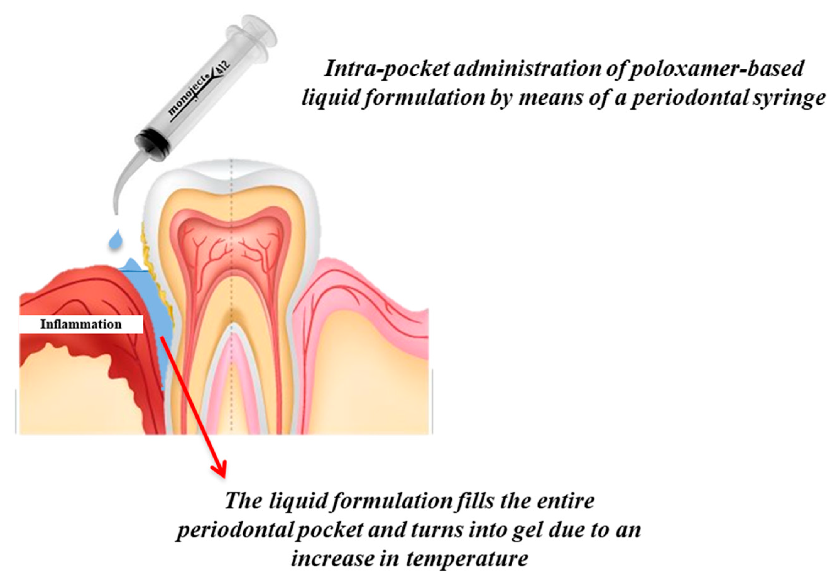 Pharmaceutics 12 00859 g004