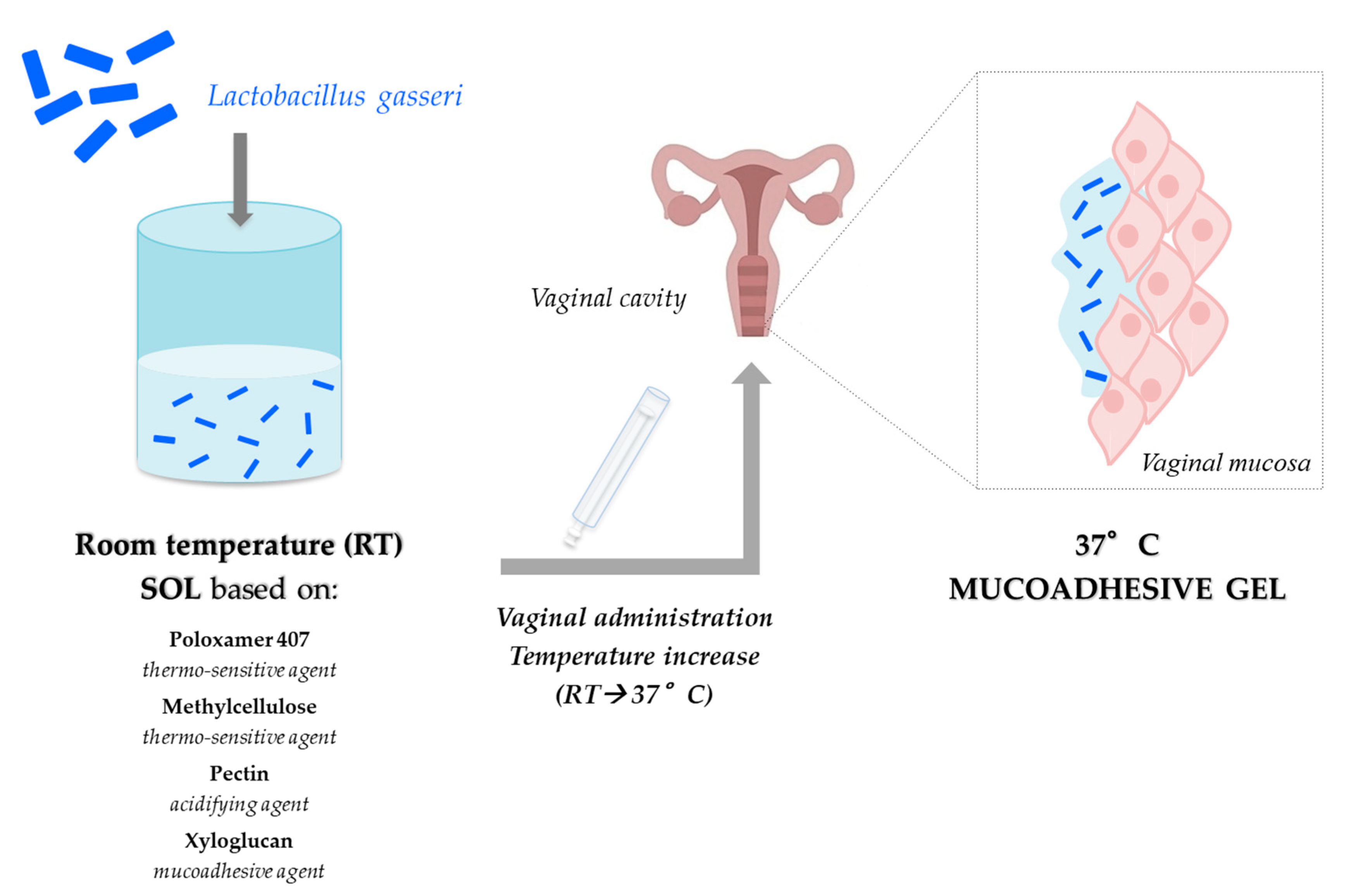 Pharmaceutics 12 00859 g005