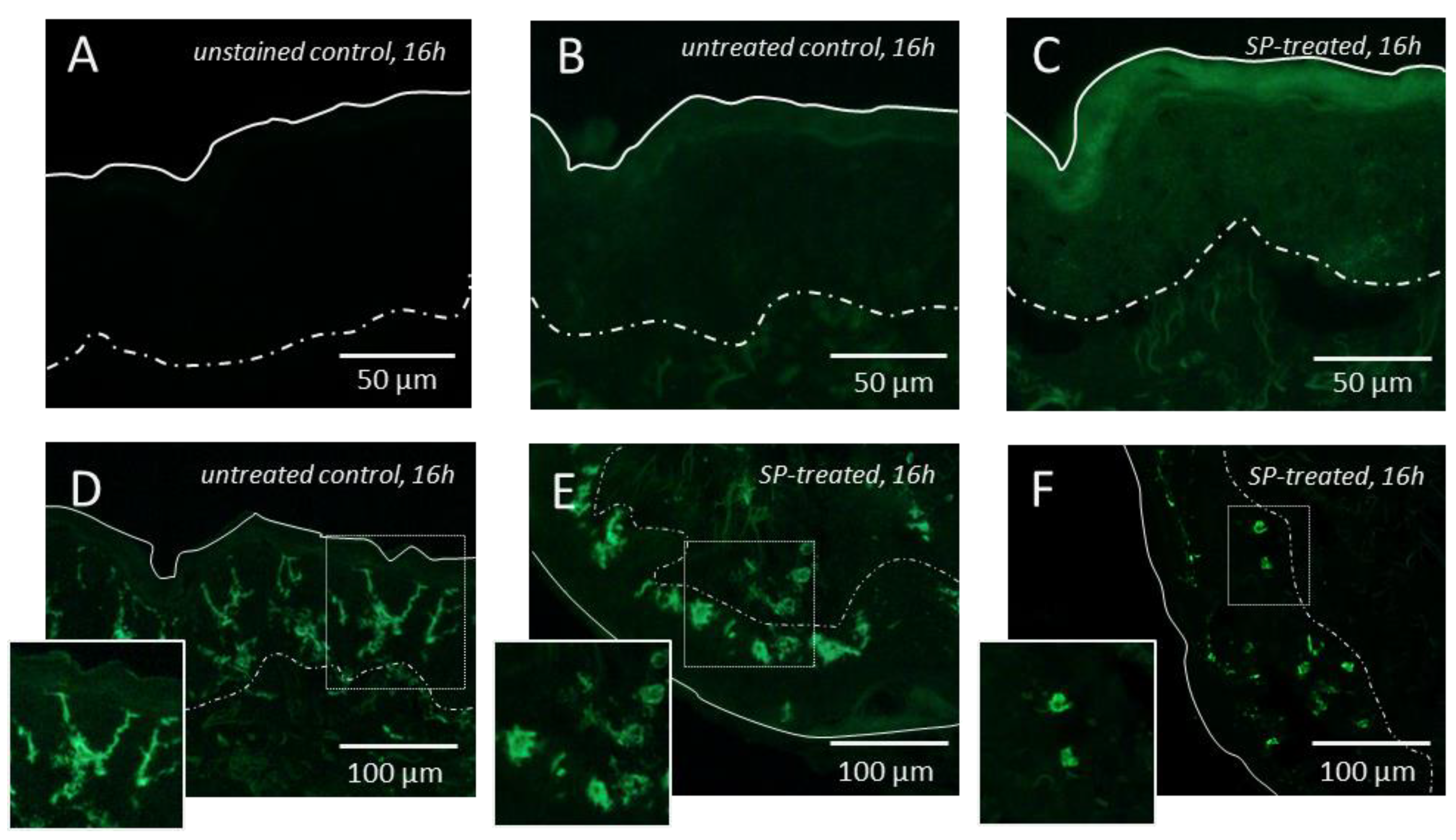 Pharmaceutics 12 00862 g002
