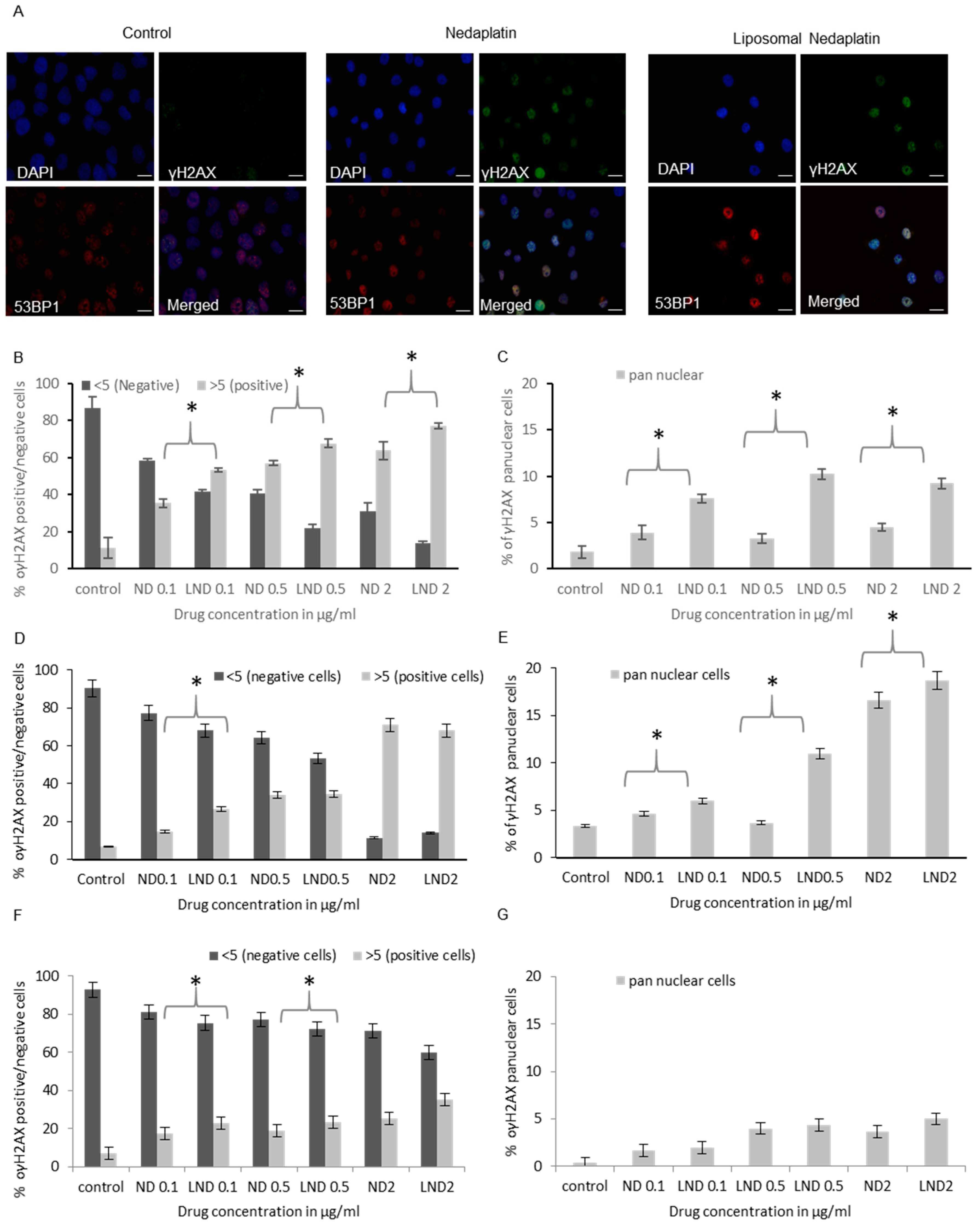 Pharmaceutics 12 00863 g005 Pharmaceutics 12 00863 g005