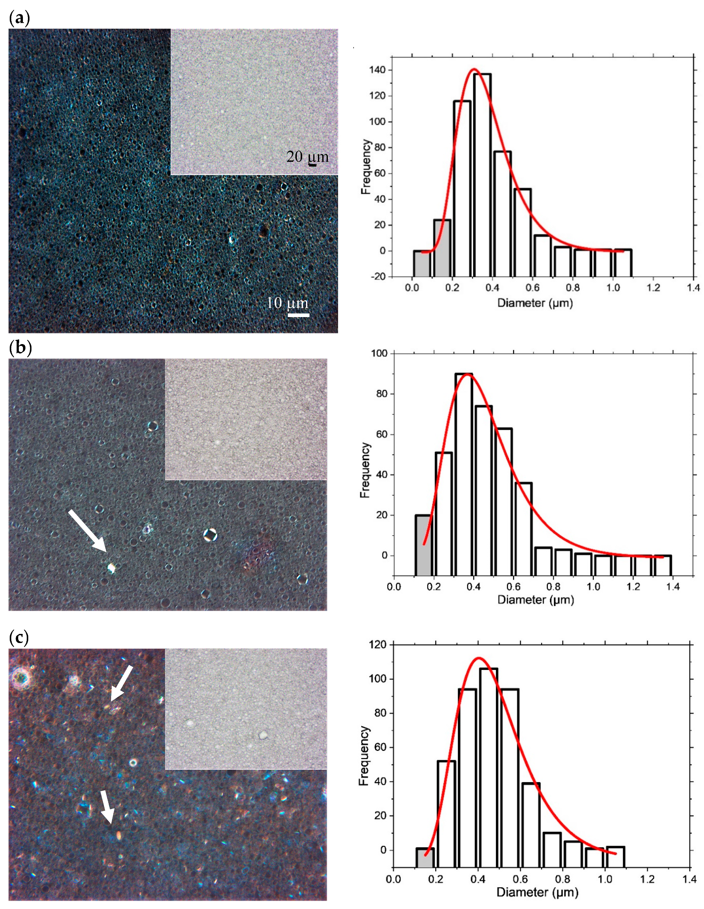Pharmaceutics 12 00864 g001 Pharmaceutics 12 00864 g001