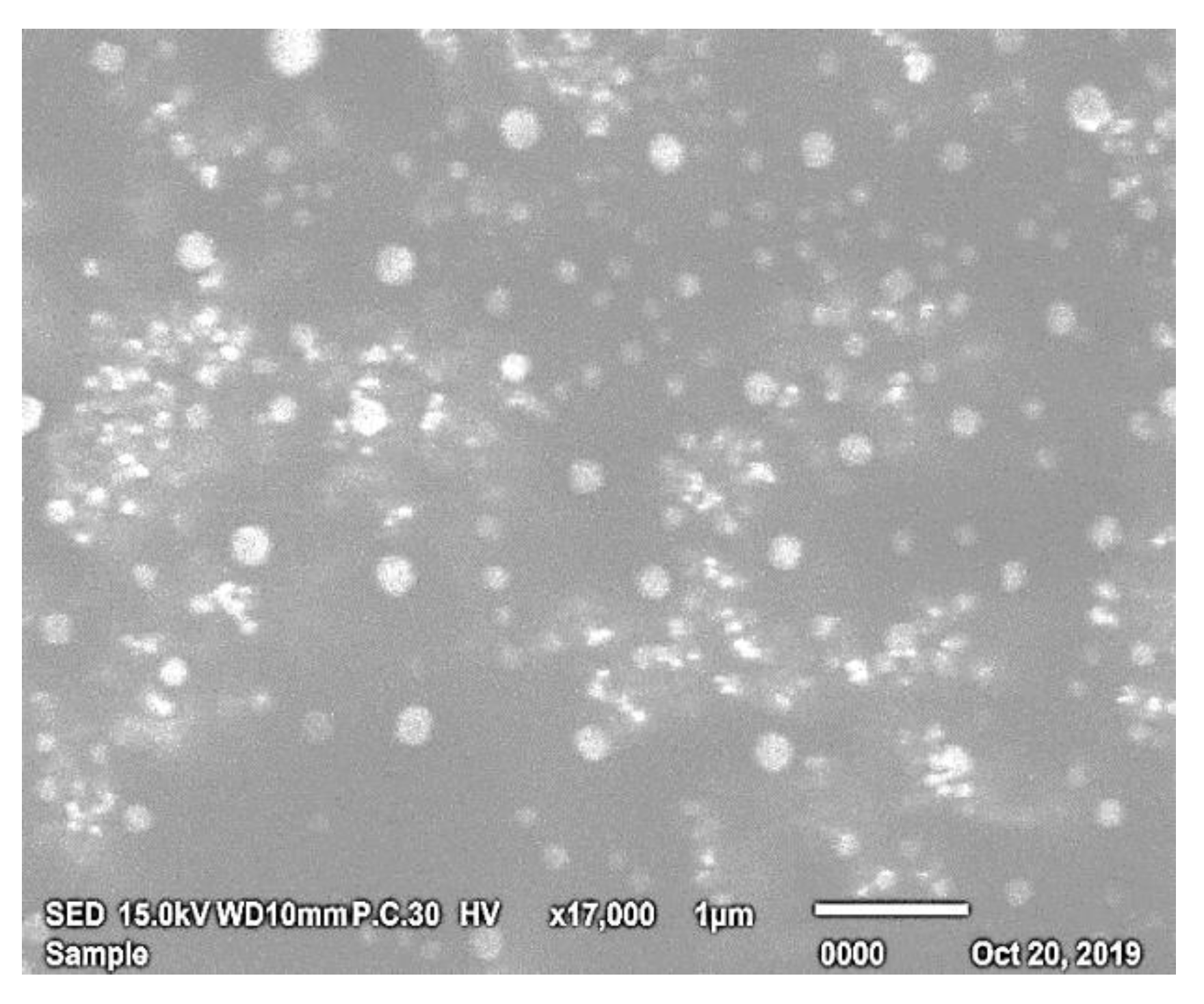 Pharmaceutics 12 00866 g006 Pharmaceutics 12 00866 g006