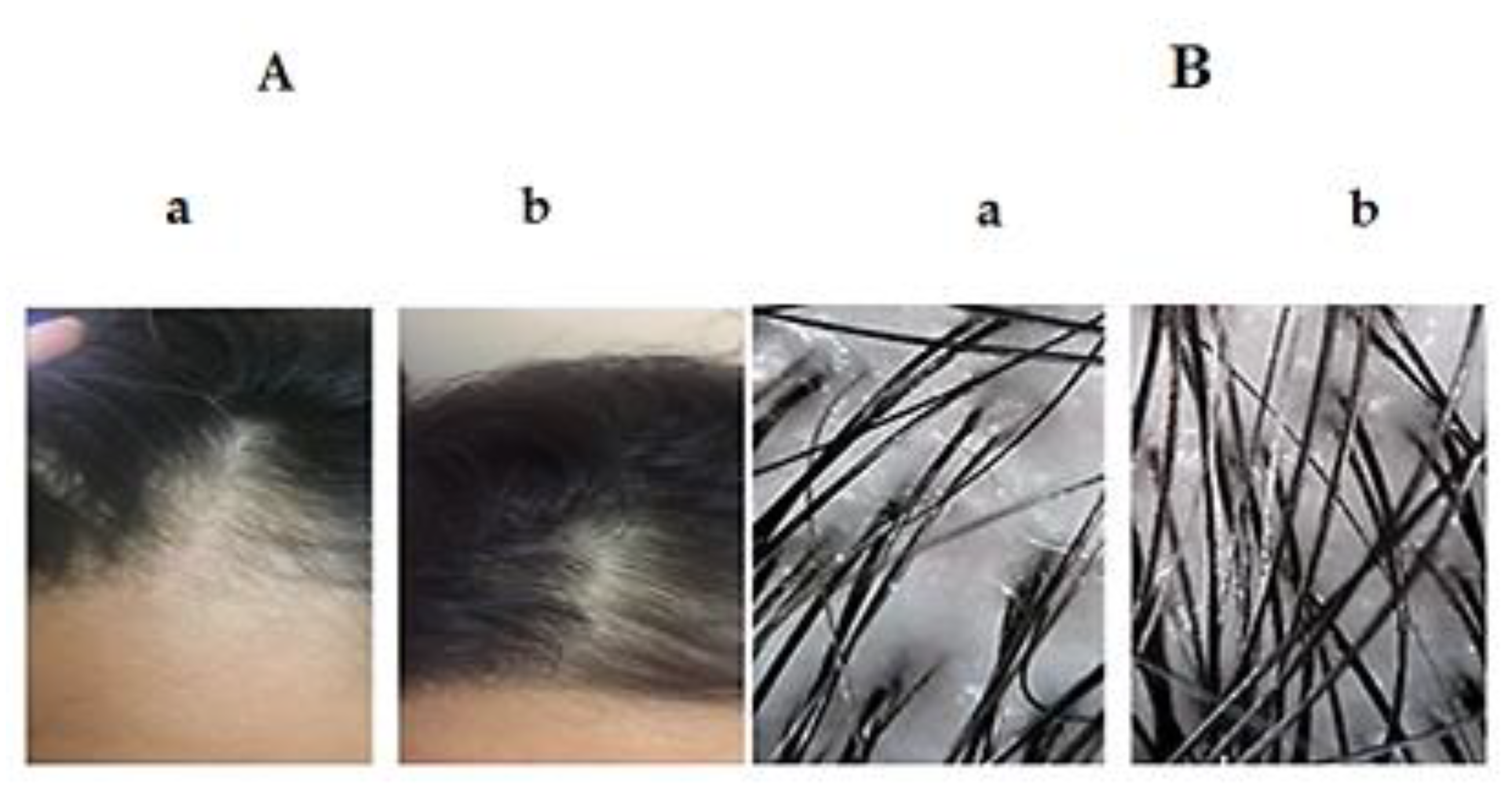 Pharmaceutics 12 00866 g012 Pharmaceutics 12 00866 g012