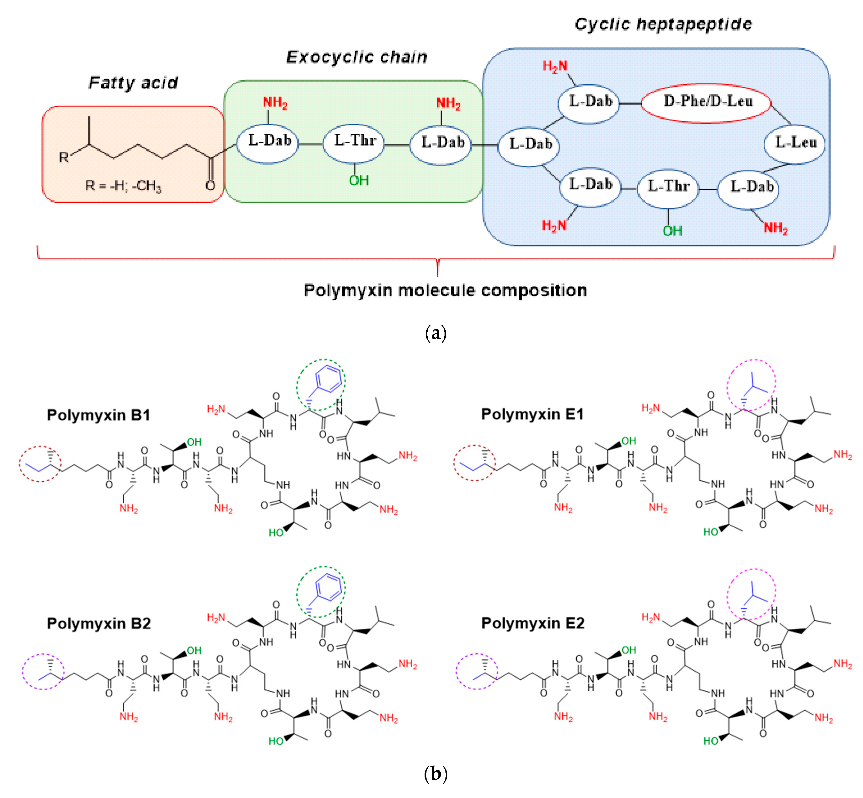 Pharmaceutics 12 00868 g001 Pharmaceutics 12 00868 g001