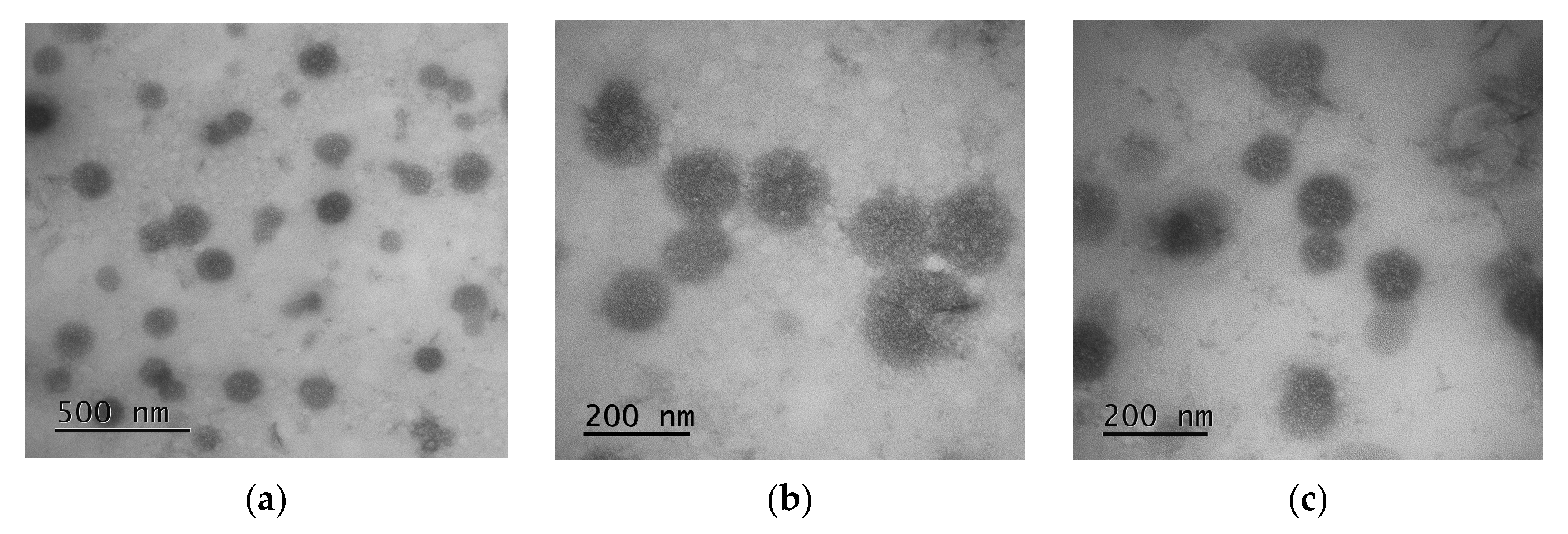 Pharmaceutics 12 00868 g002 Pharmaceutics 12 00868 g002
