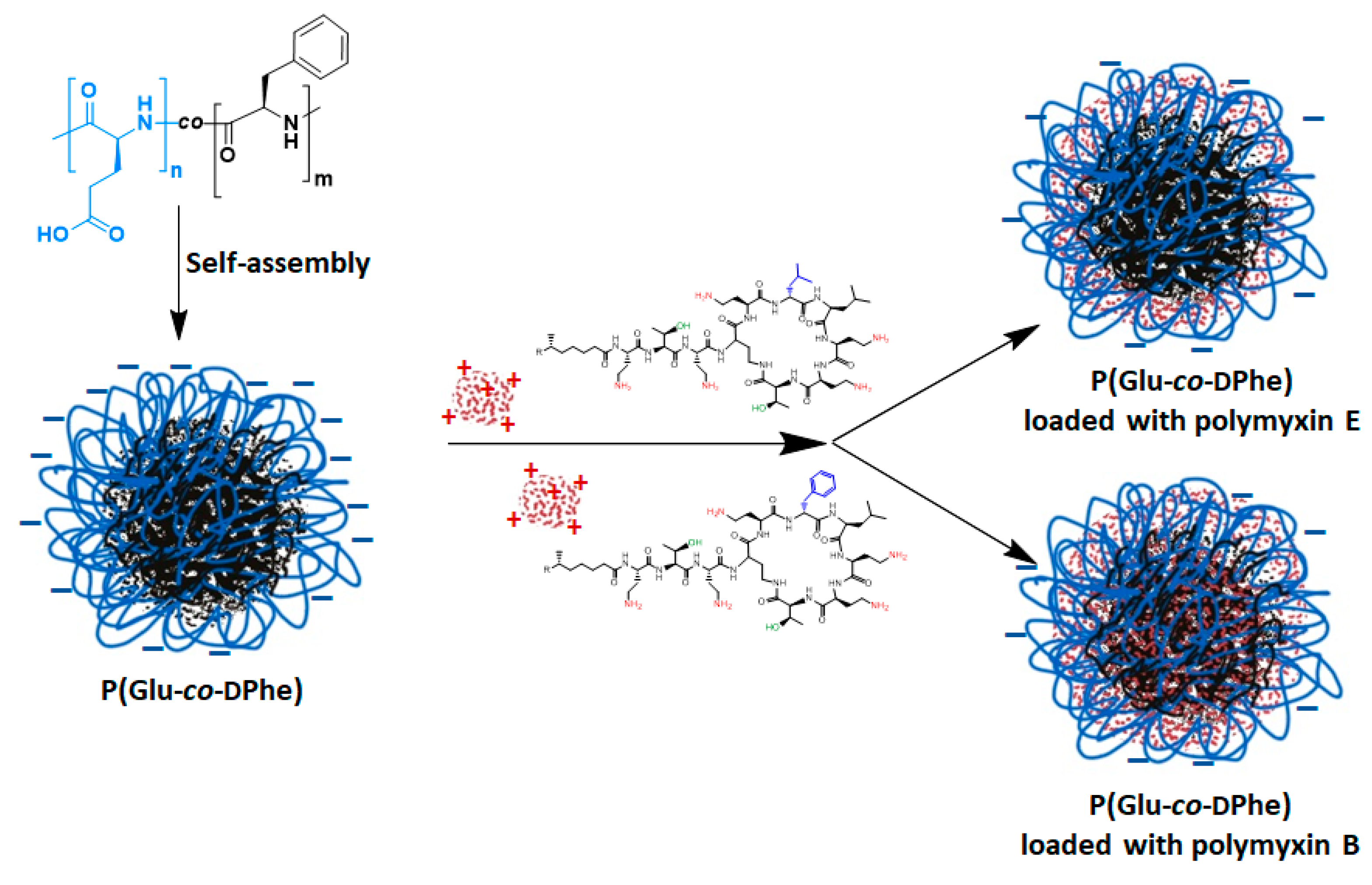 Pharmaceutics 12 00868 g006 Pharmaceutics 12 00868 g006