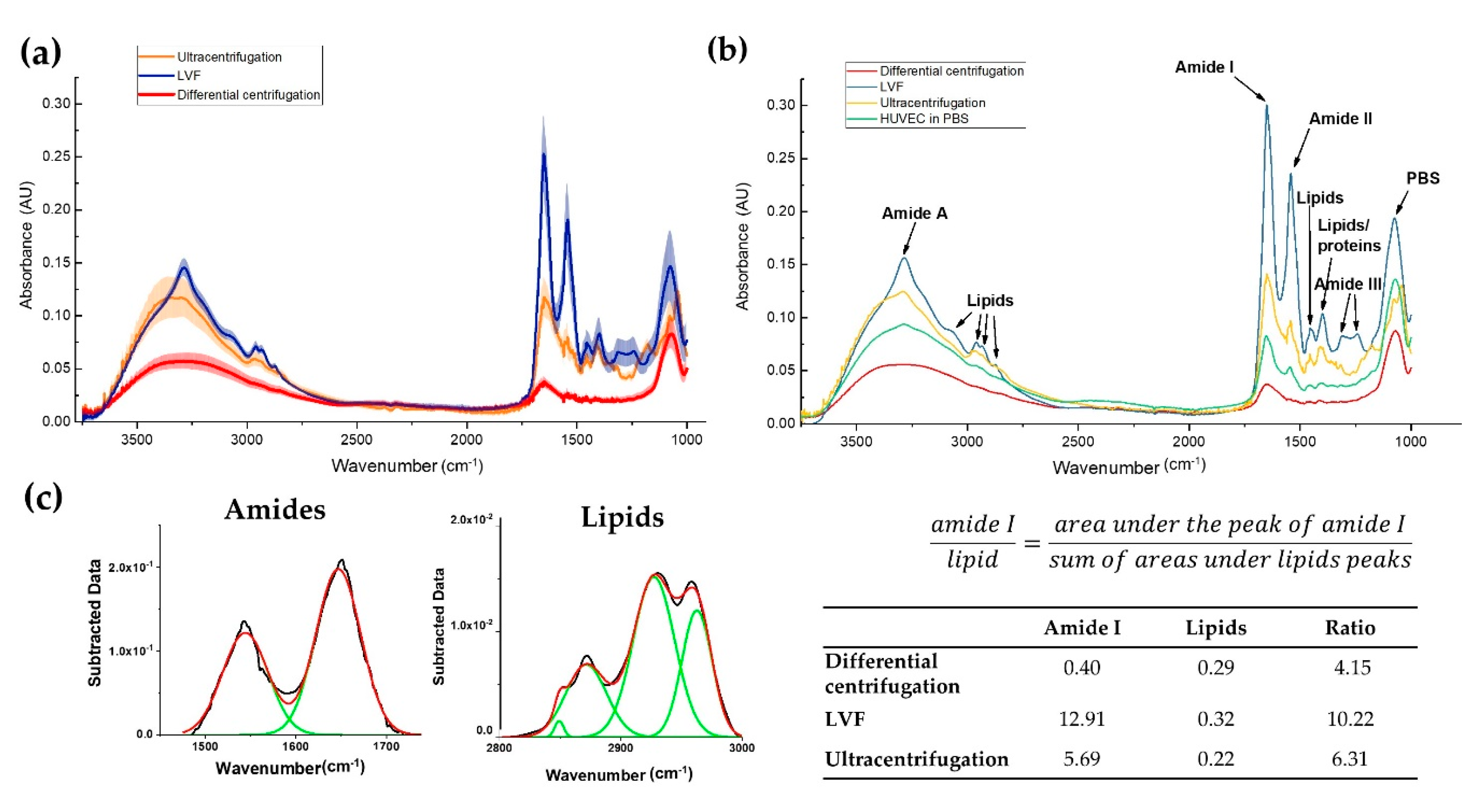 Pharmaceutics 12 00872 g006 Pharmaceutics 12 00872 g006