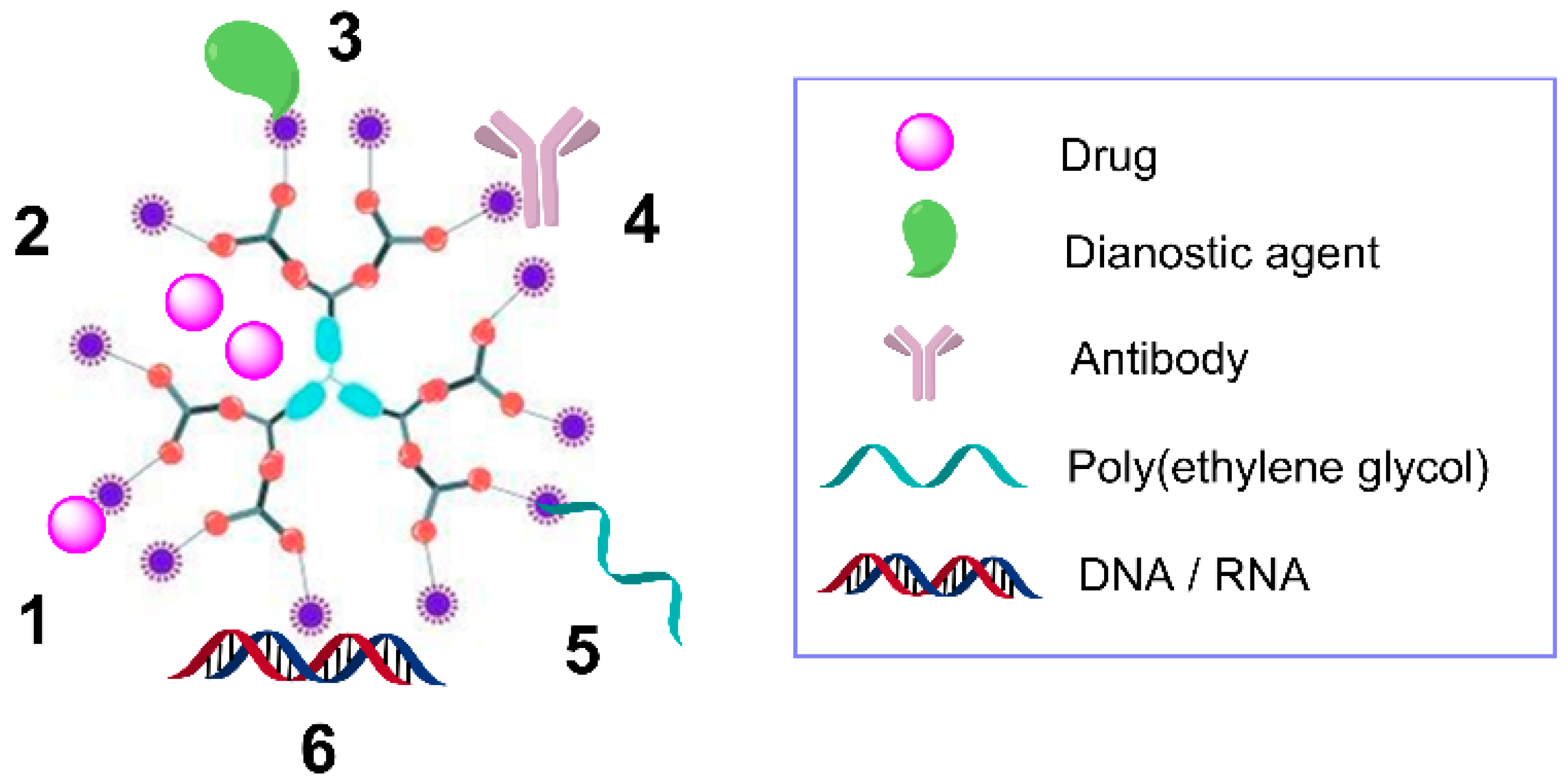 Pharmaceutics 12 00874 g003