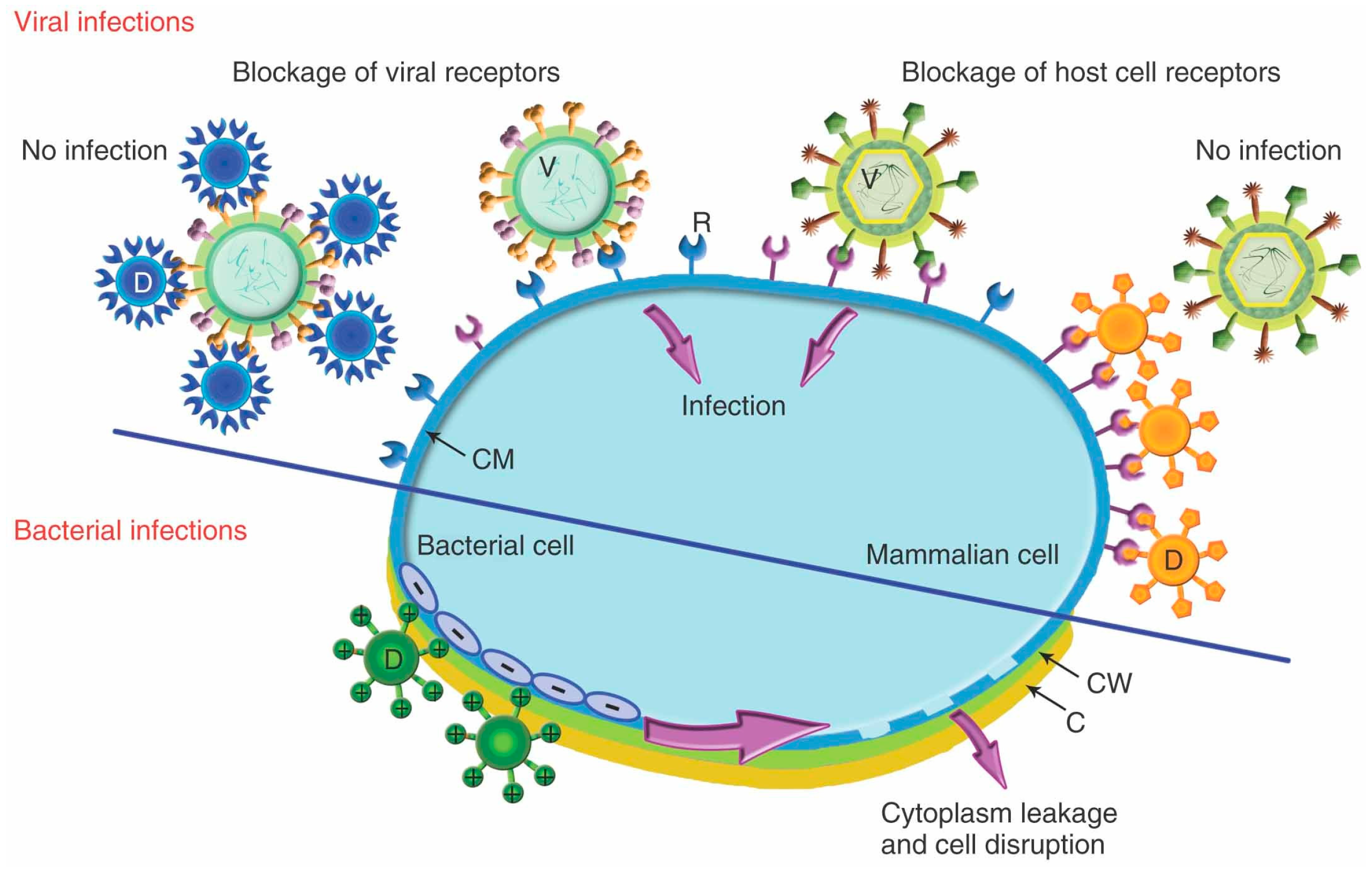 Pharmaceutics 12 00874 g004