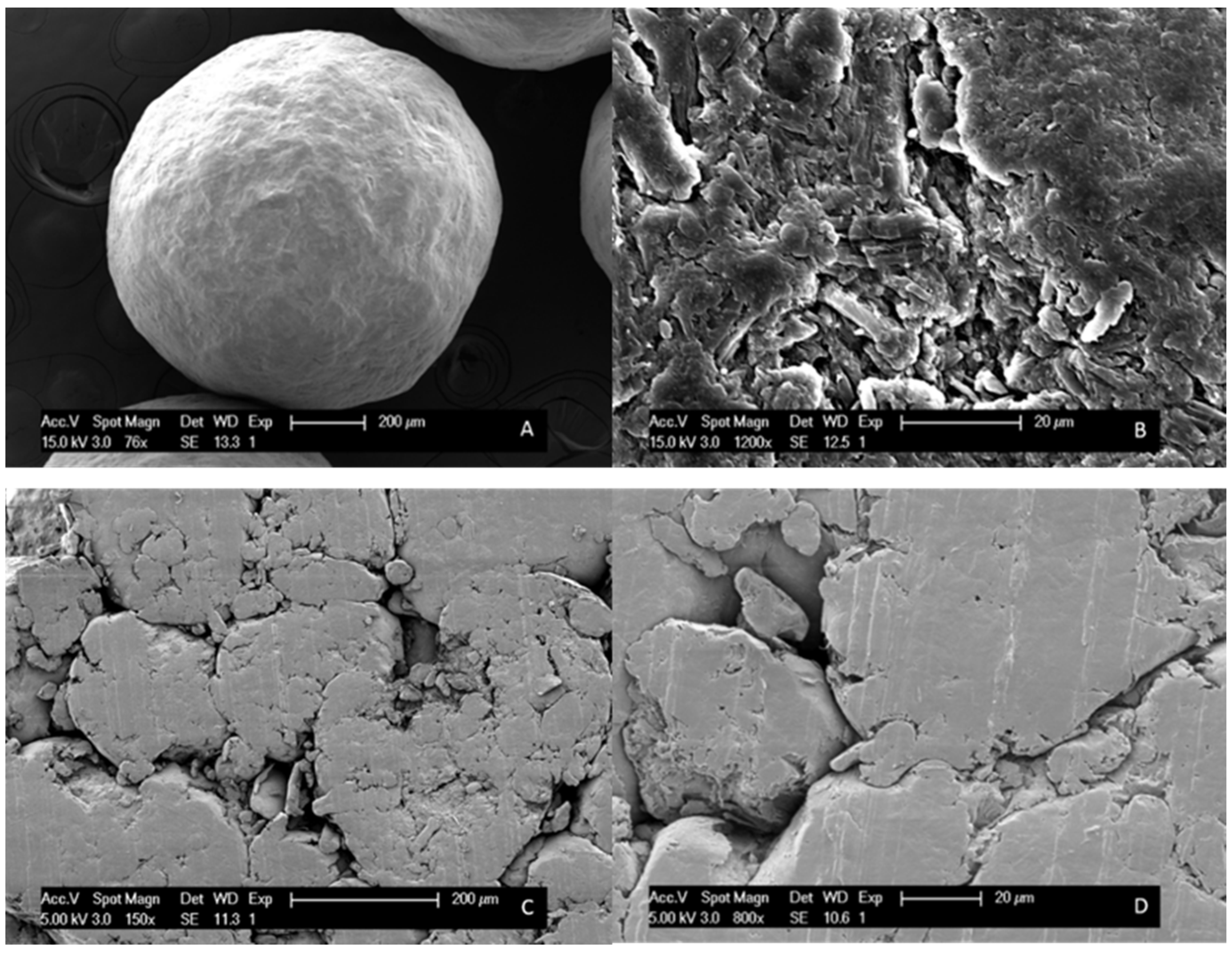 Pharmaceutics 12 00878 g005 Pharmaceutics 12 00878 g005