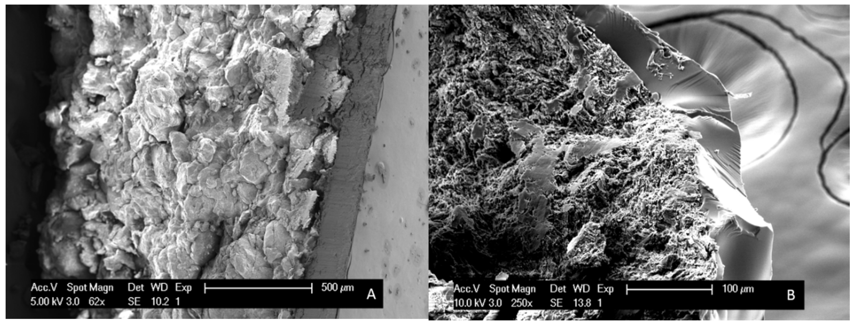 Pharmaceutics 12 00878 g008 Pharmaceutics 12 00878 g008